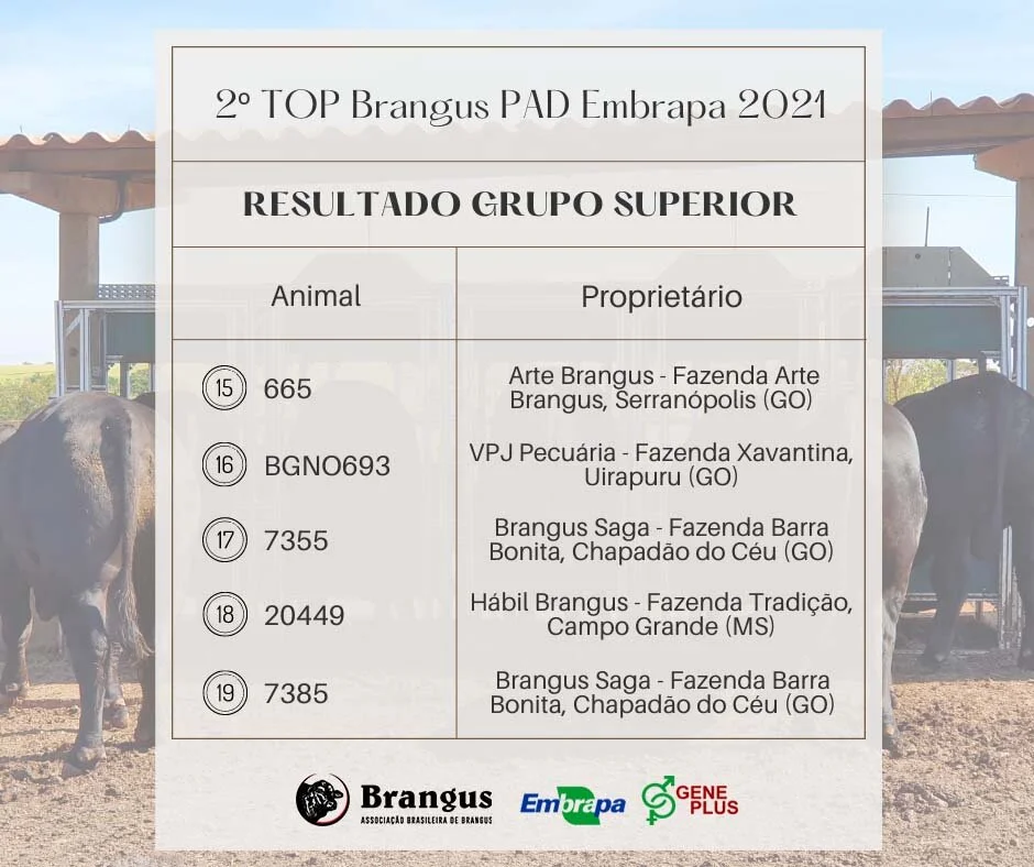 ABB e Programa Embrapa Geneplus divulgam vencedores da Prova Top Brangus Embrapa 2021