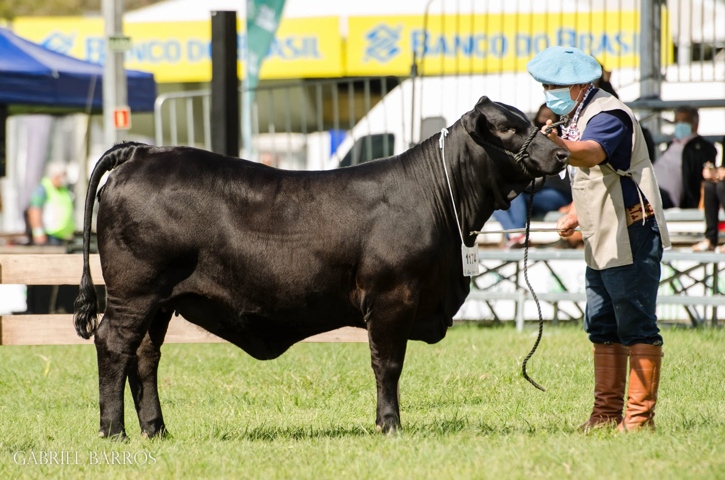 44ª Expointer