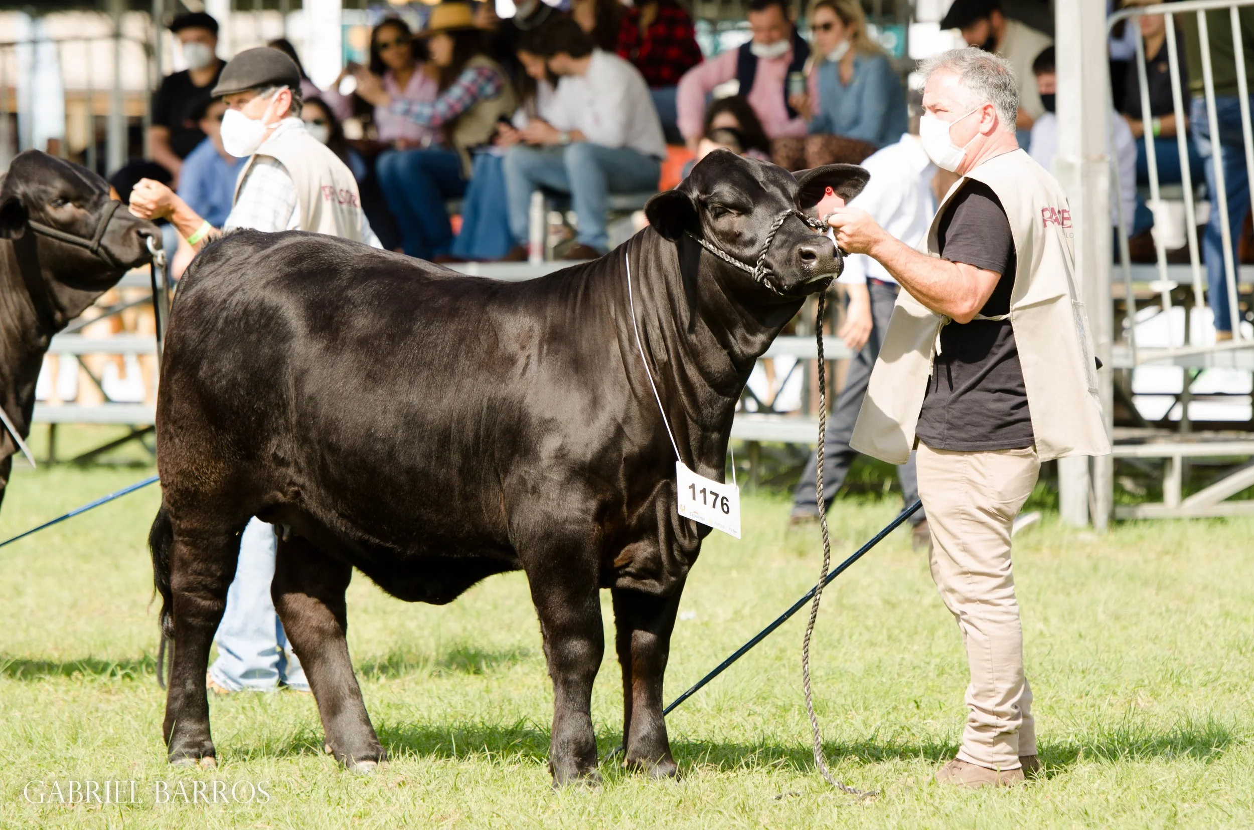 44ª Expointer