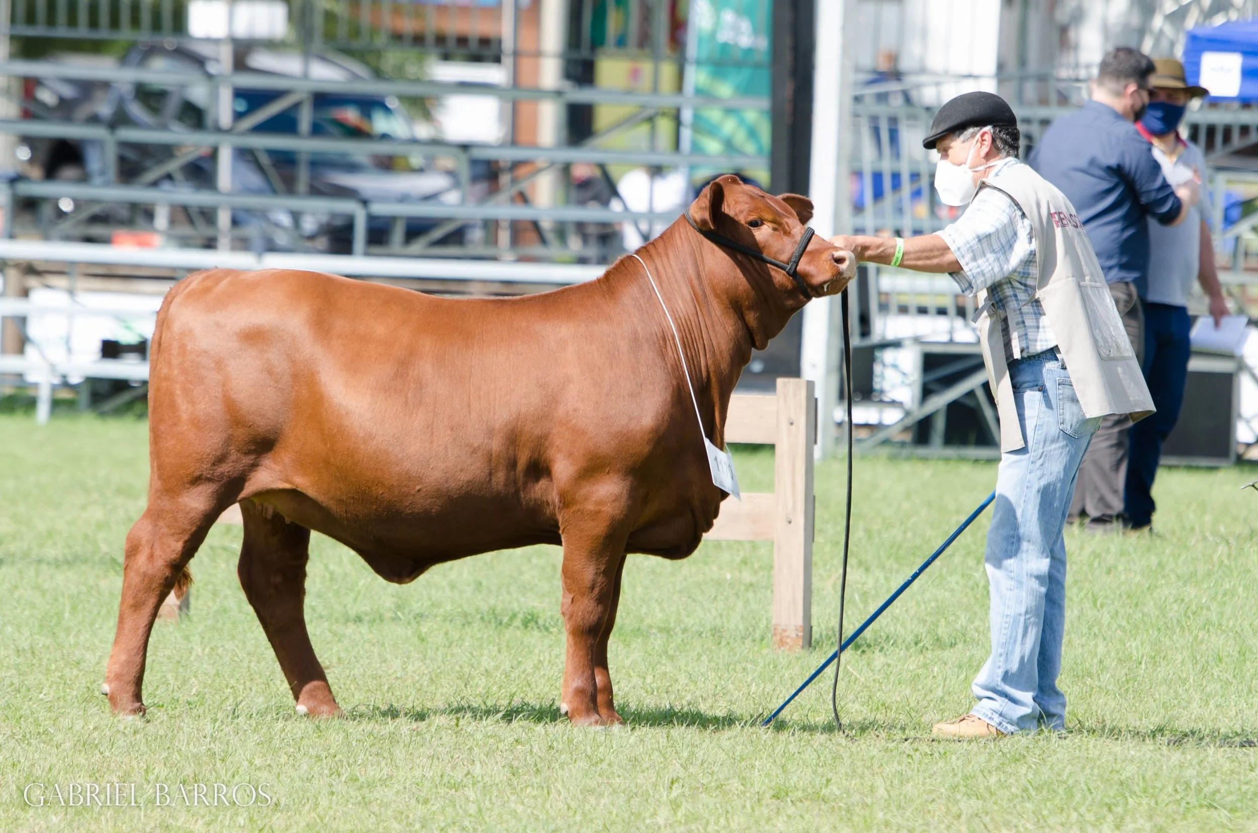 44ª Expointer