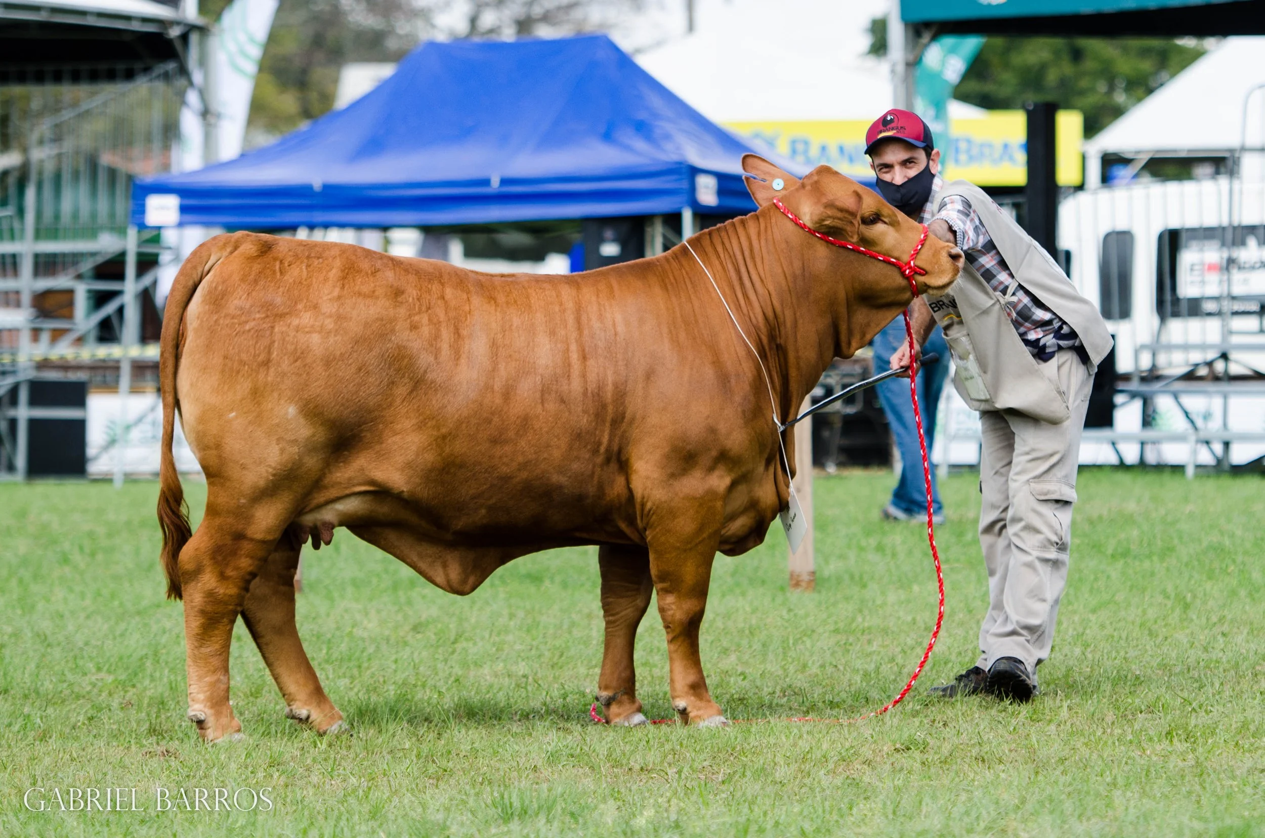 44ª Expointer