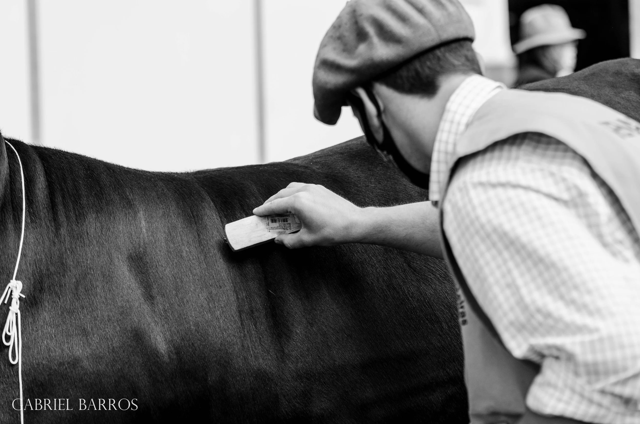 44ª Expointer