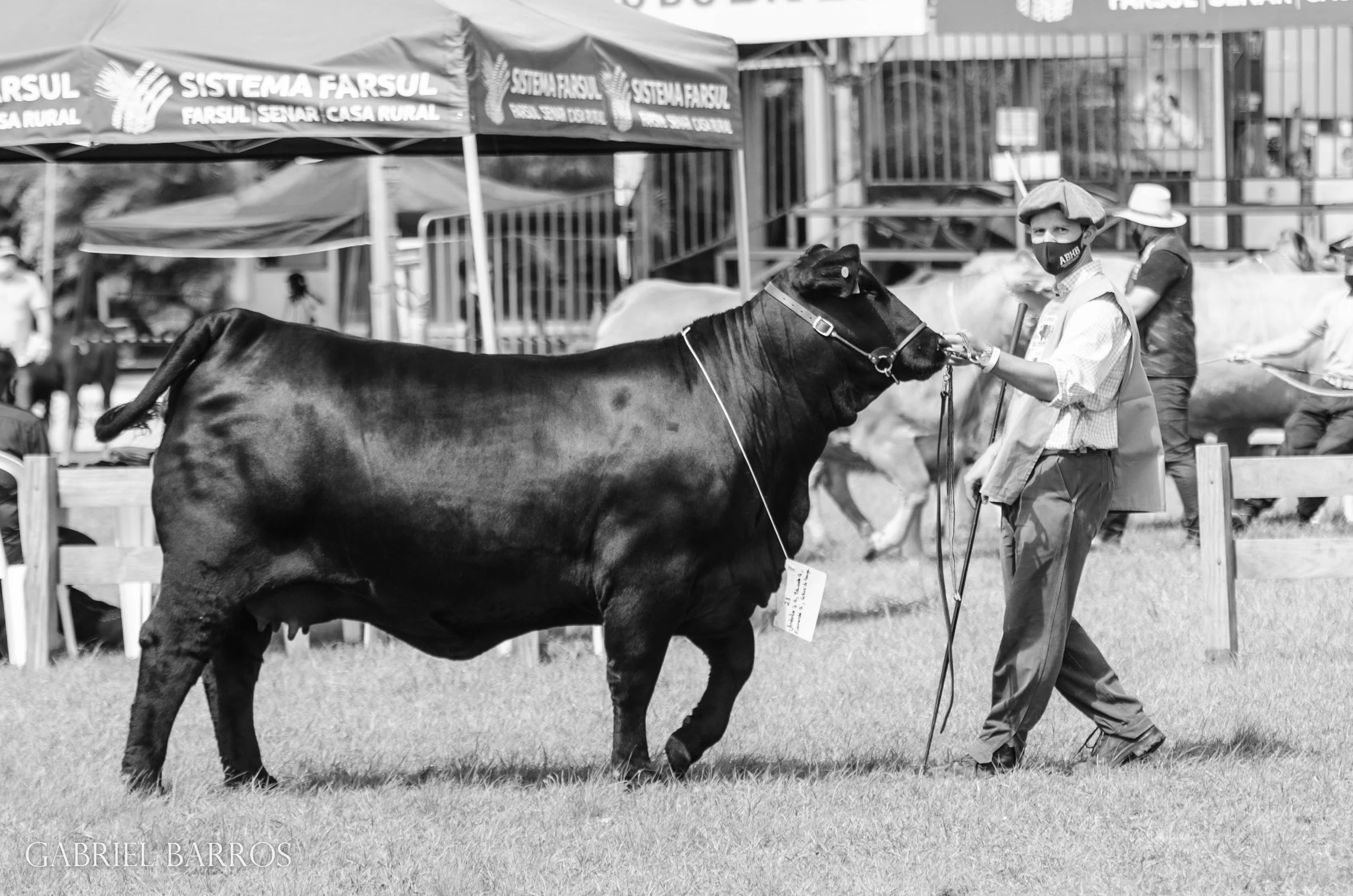 44ª Expointer