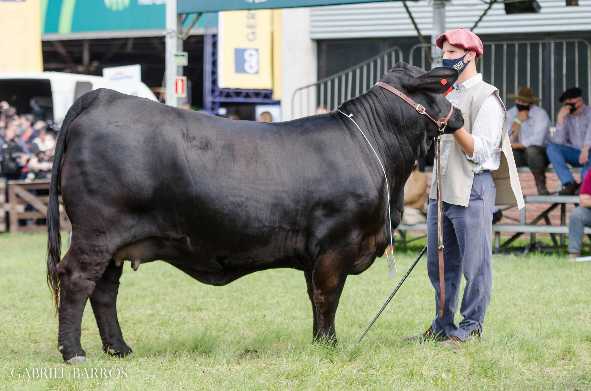 44ª Expointer
