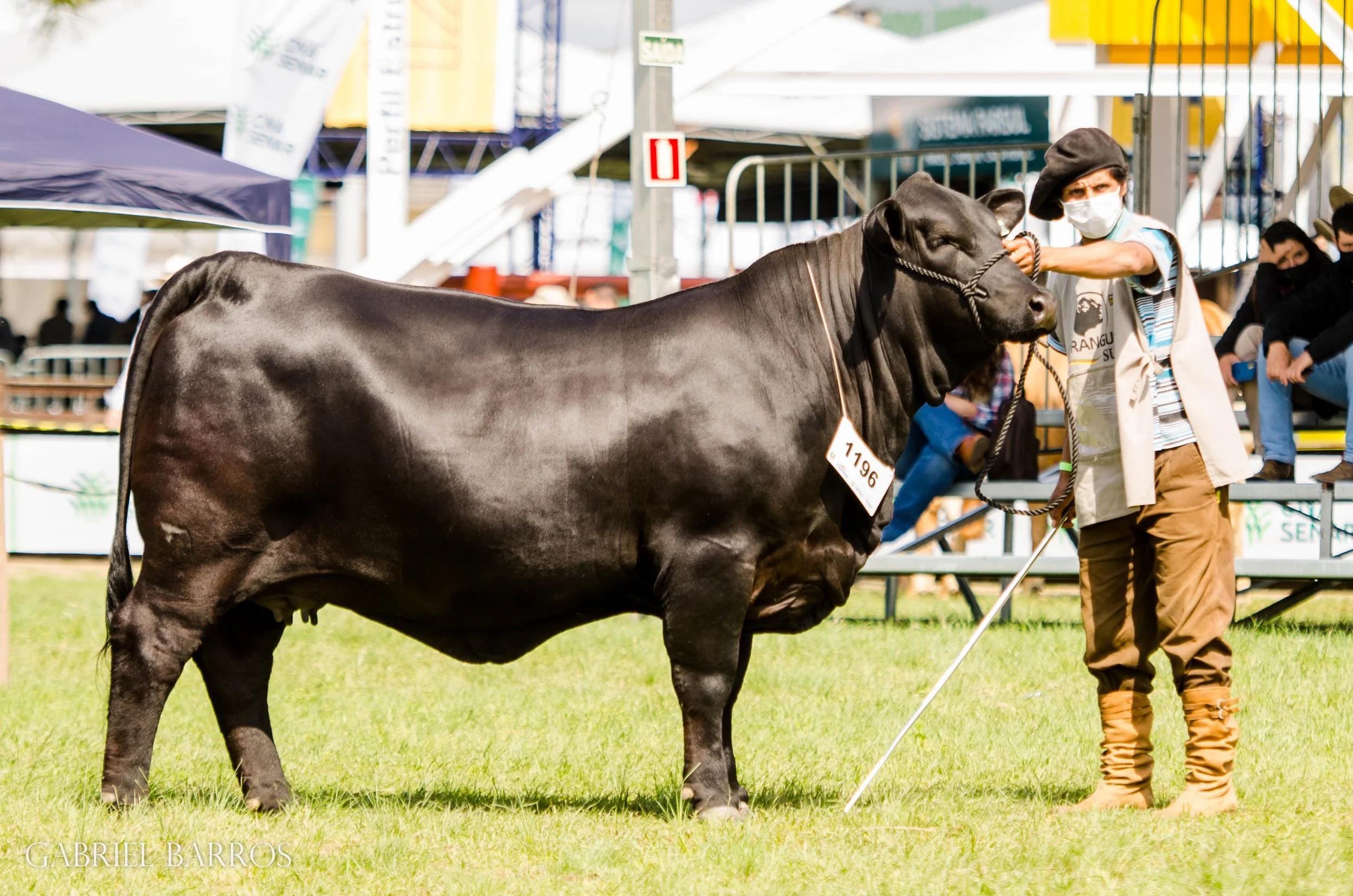 44ª Expointer