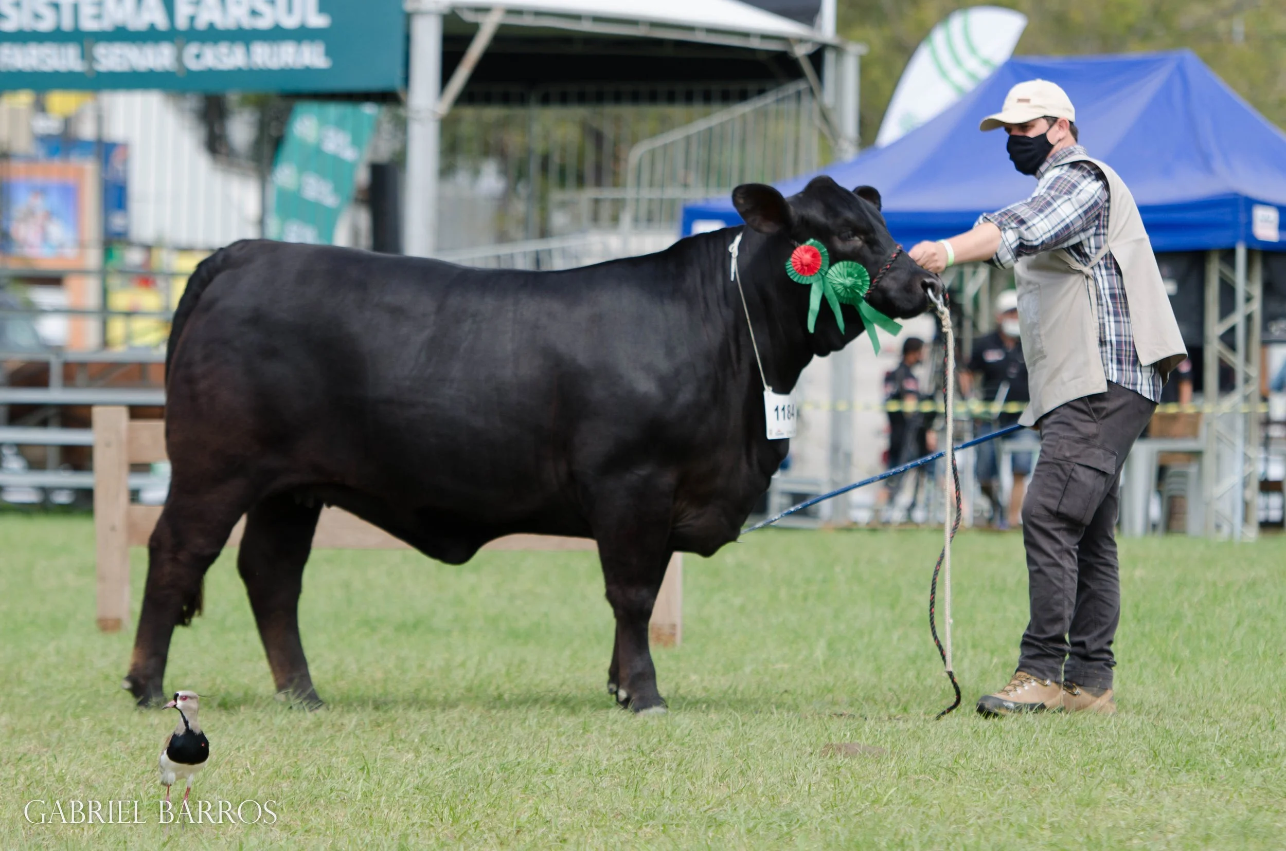 44ª Expointer