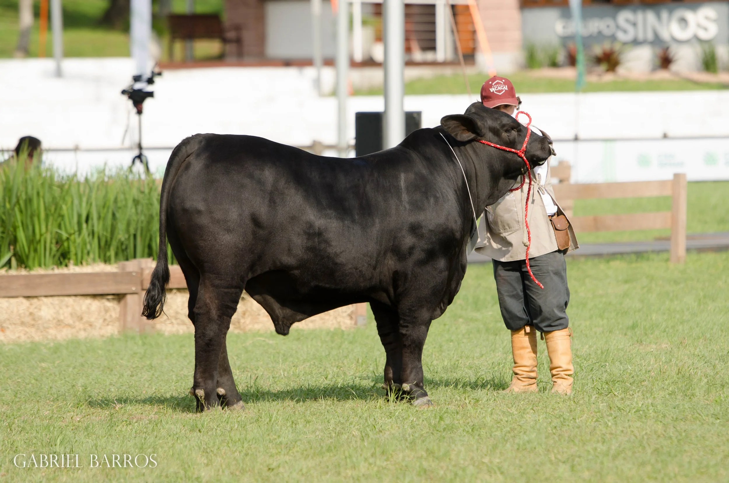 44ª Expointer
