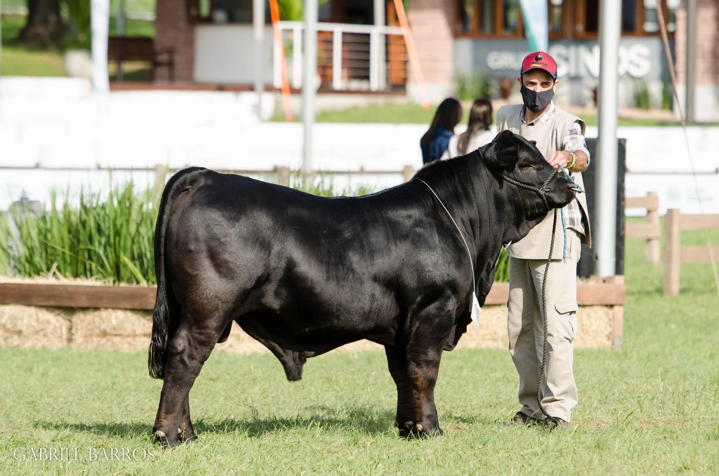 44ª Expointer