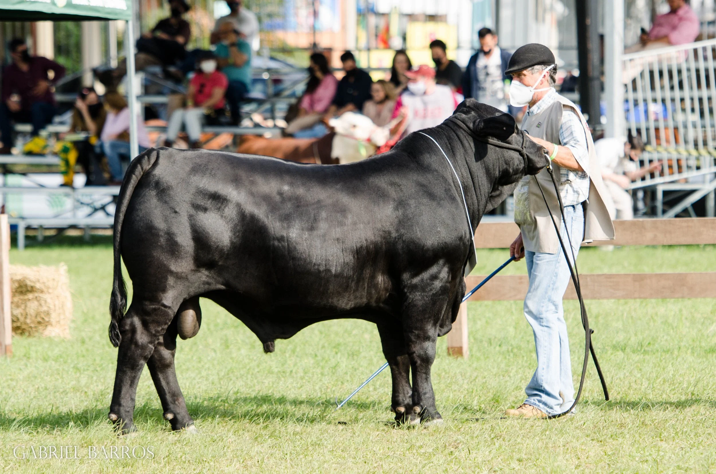 44ª Expointer