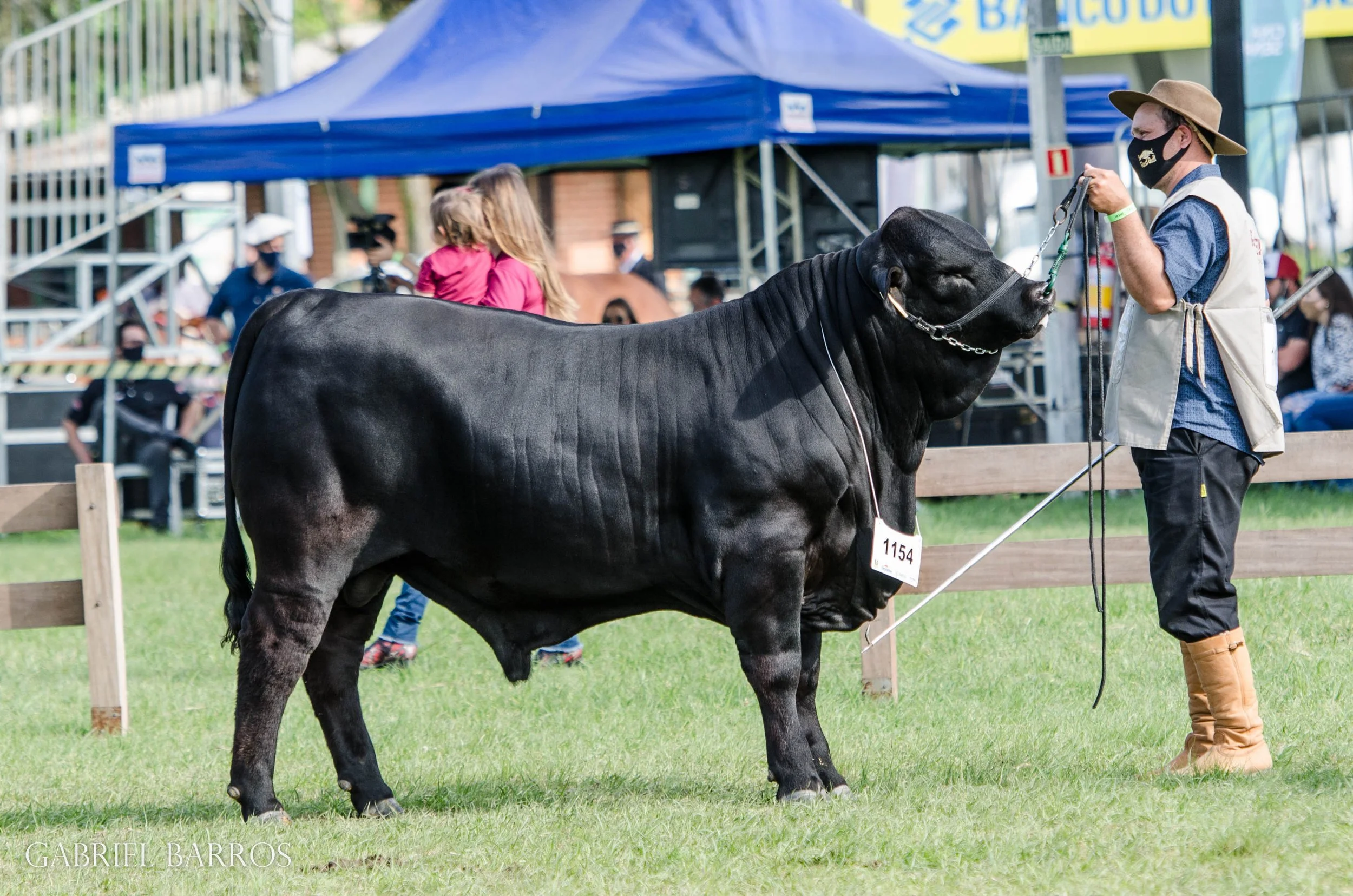 44ª Expointer