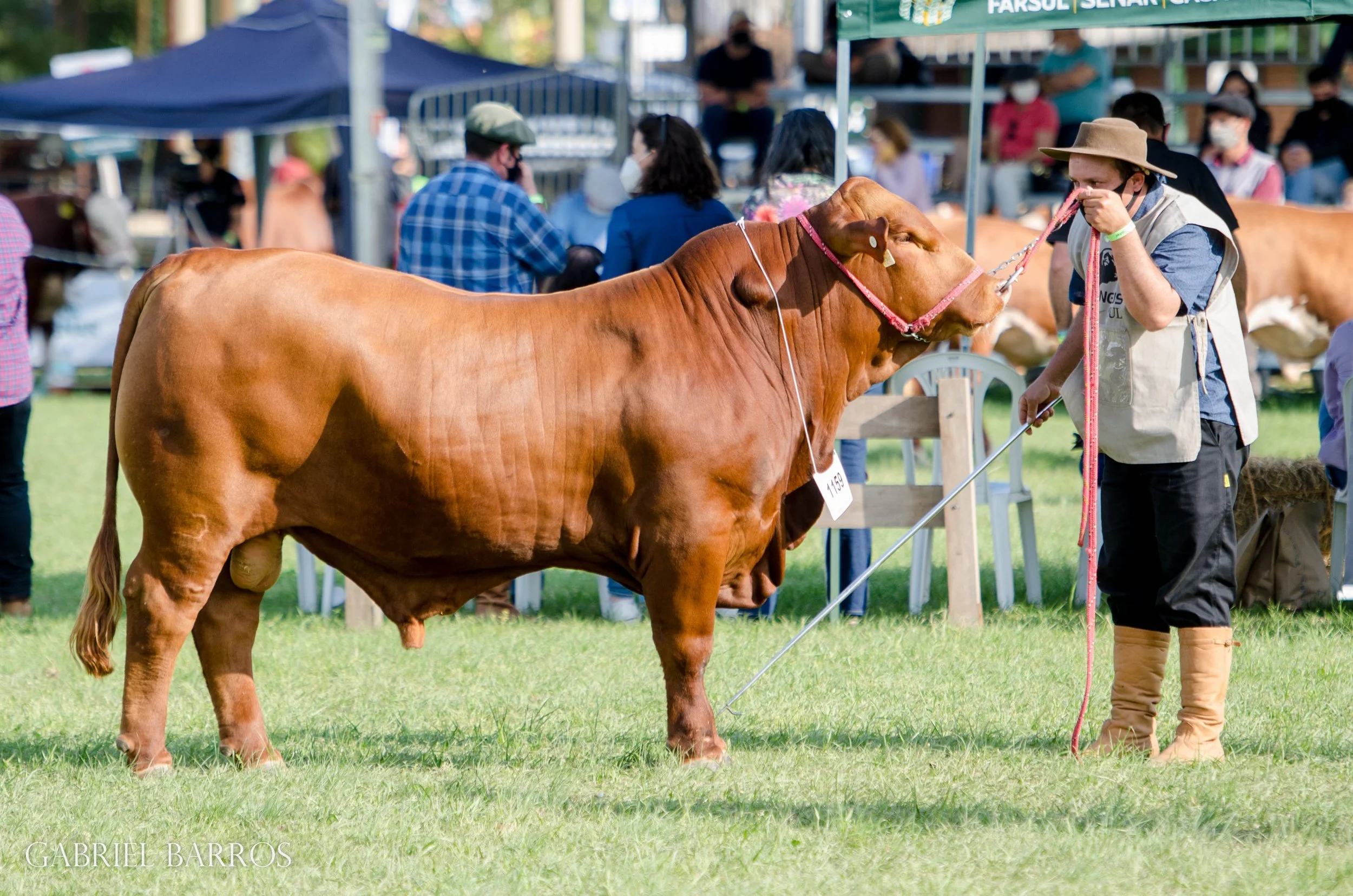 44ª Expointer