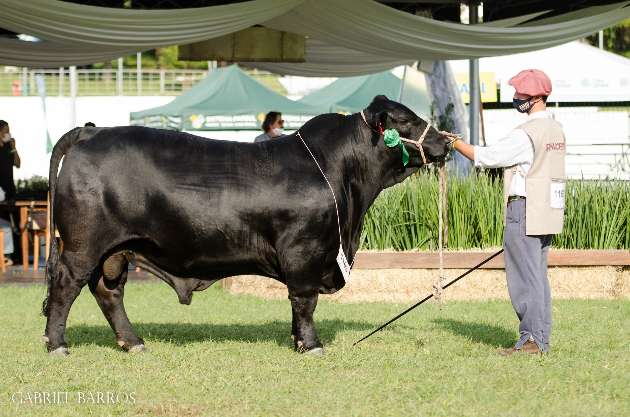 44ª Expointer