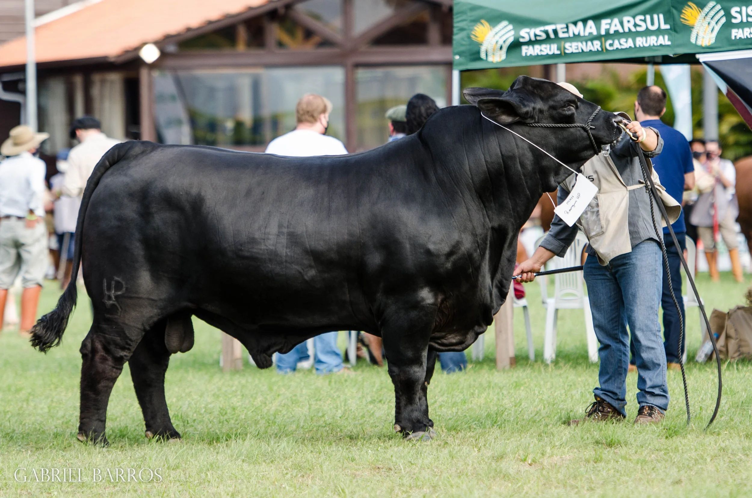 44ª Expointer
