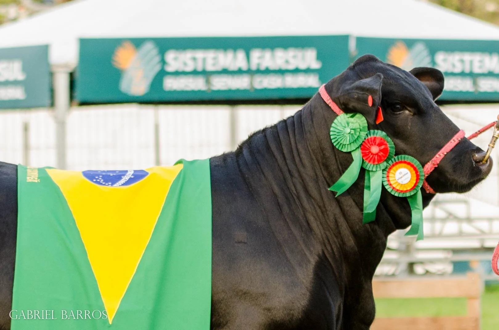 44ª Expointer