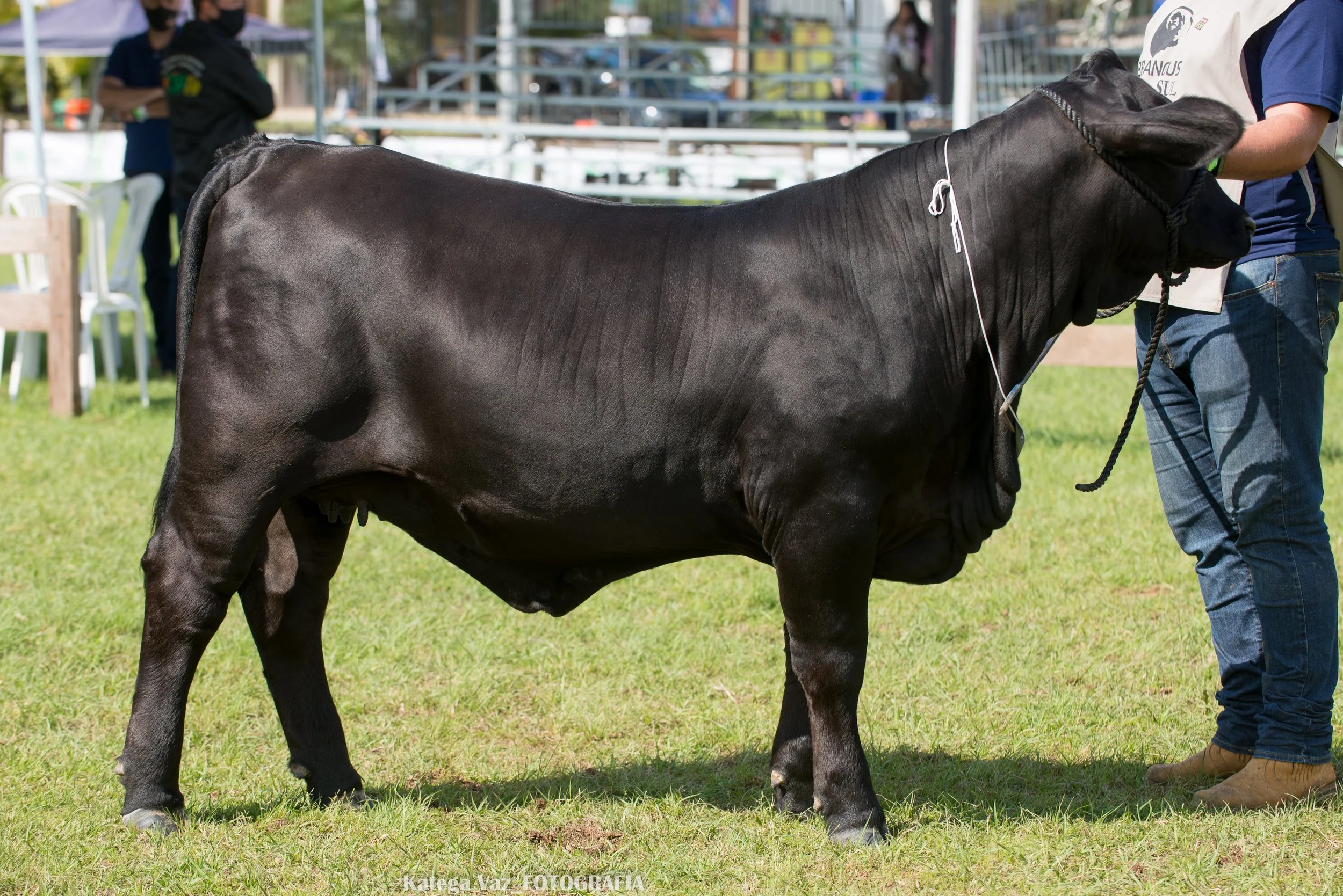 44ª Expointer