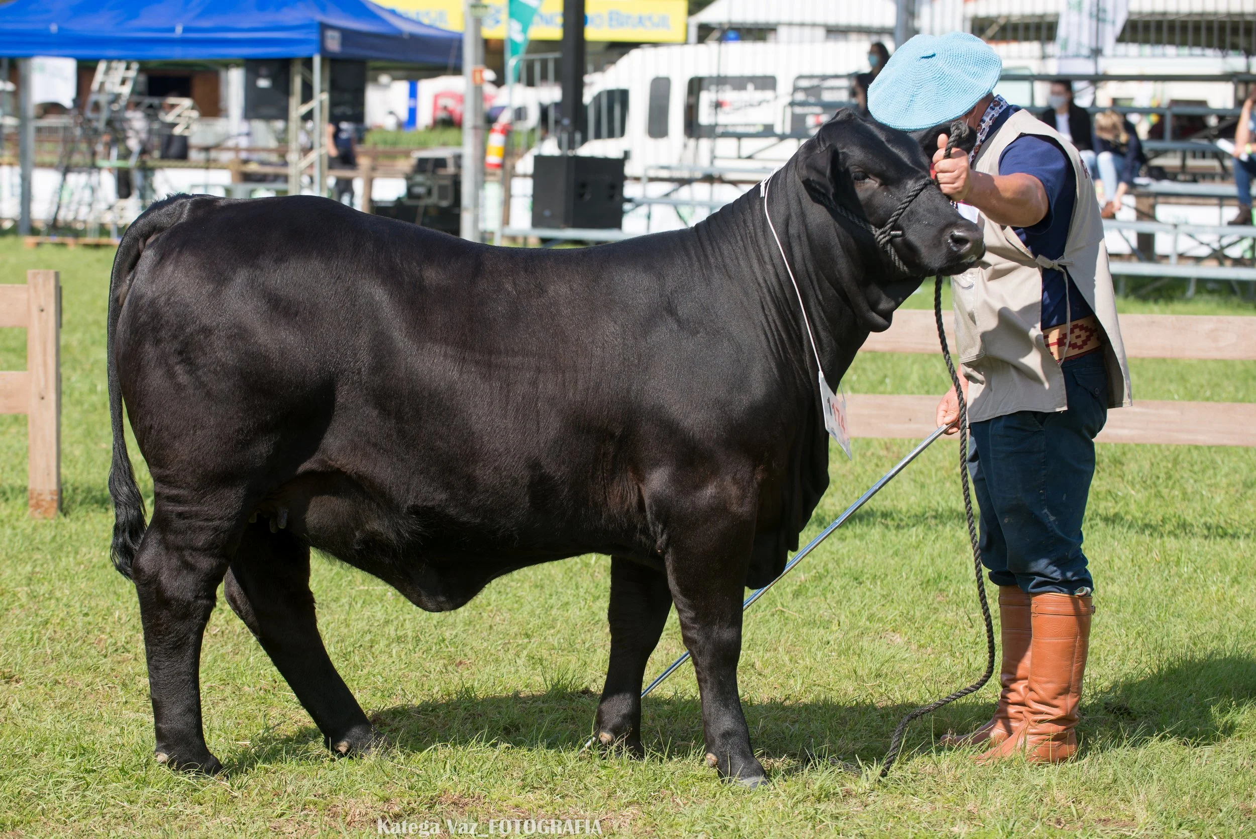 44ª Expointer