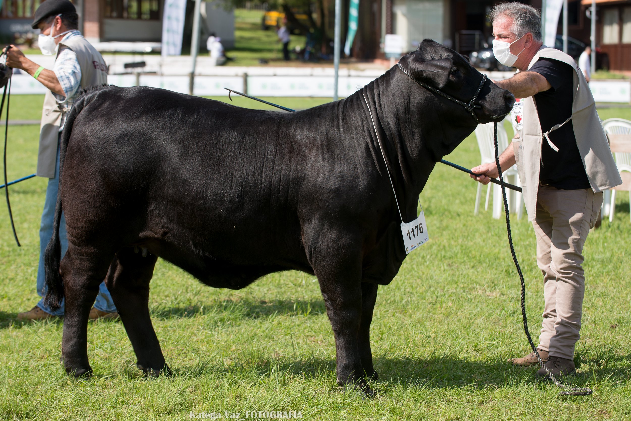 44ª Expointer
