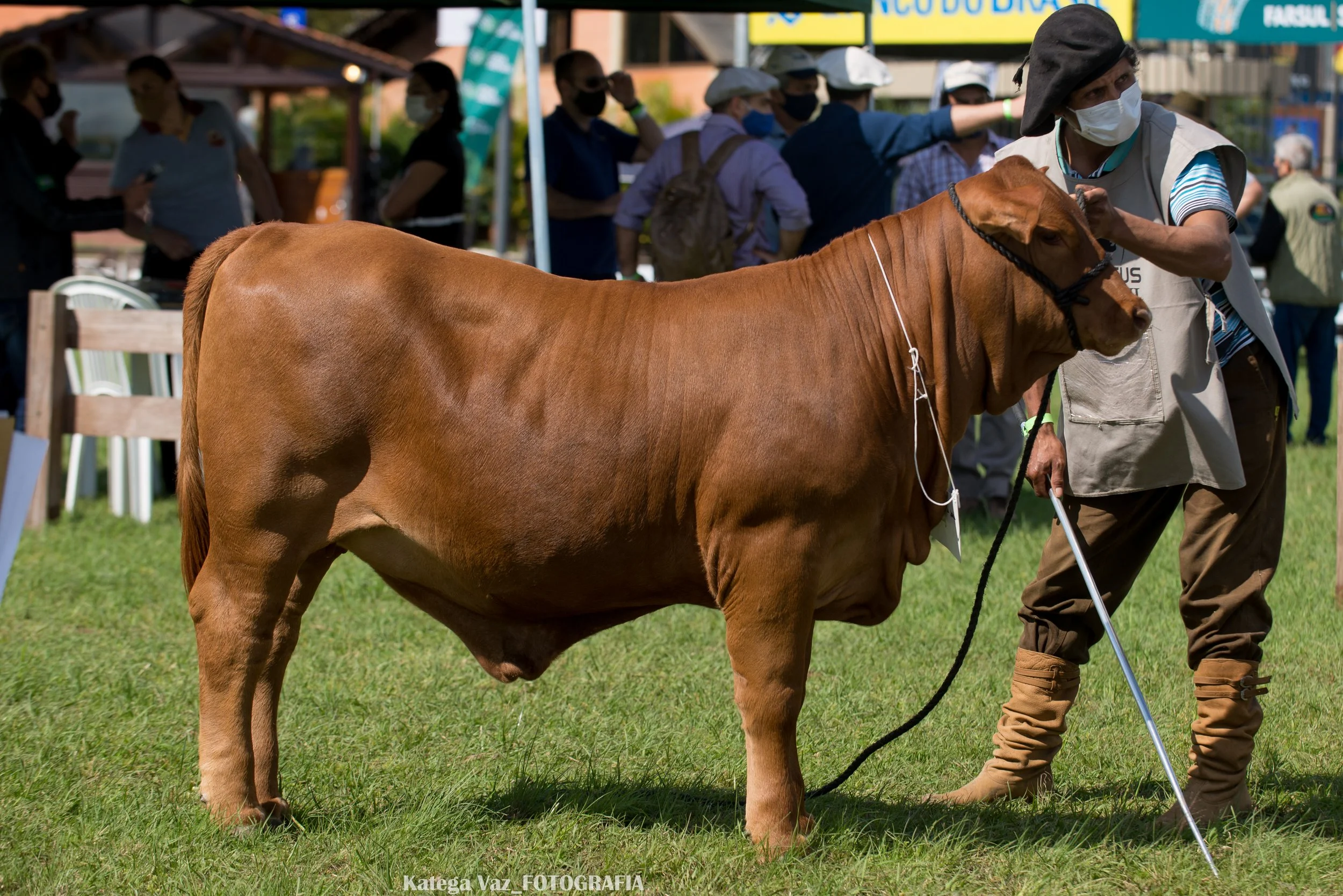 44ª Expointer
