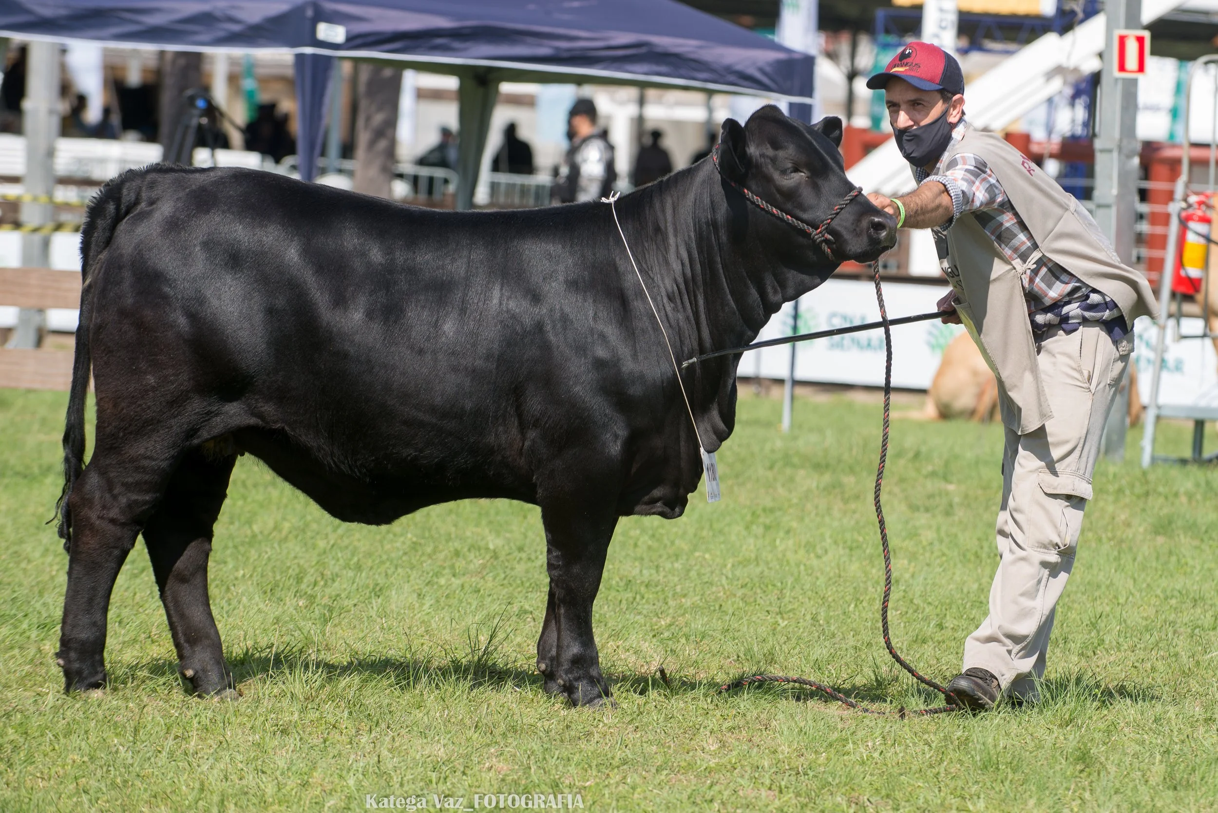 44ª Expointer