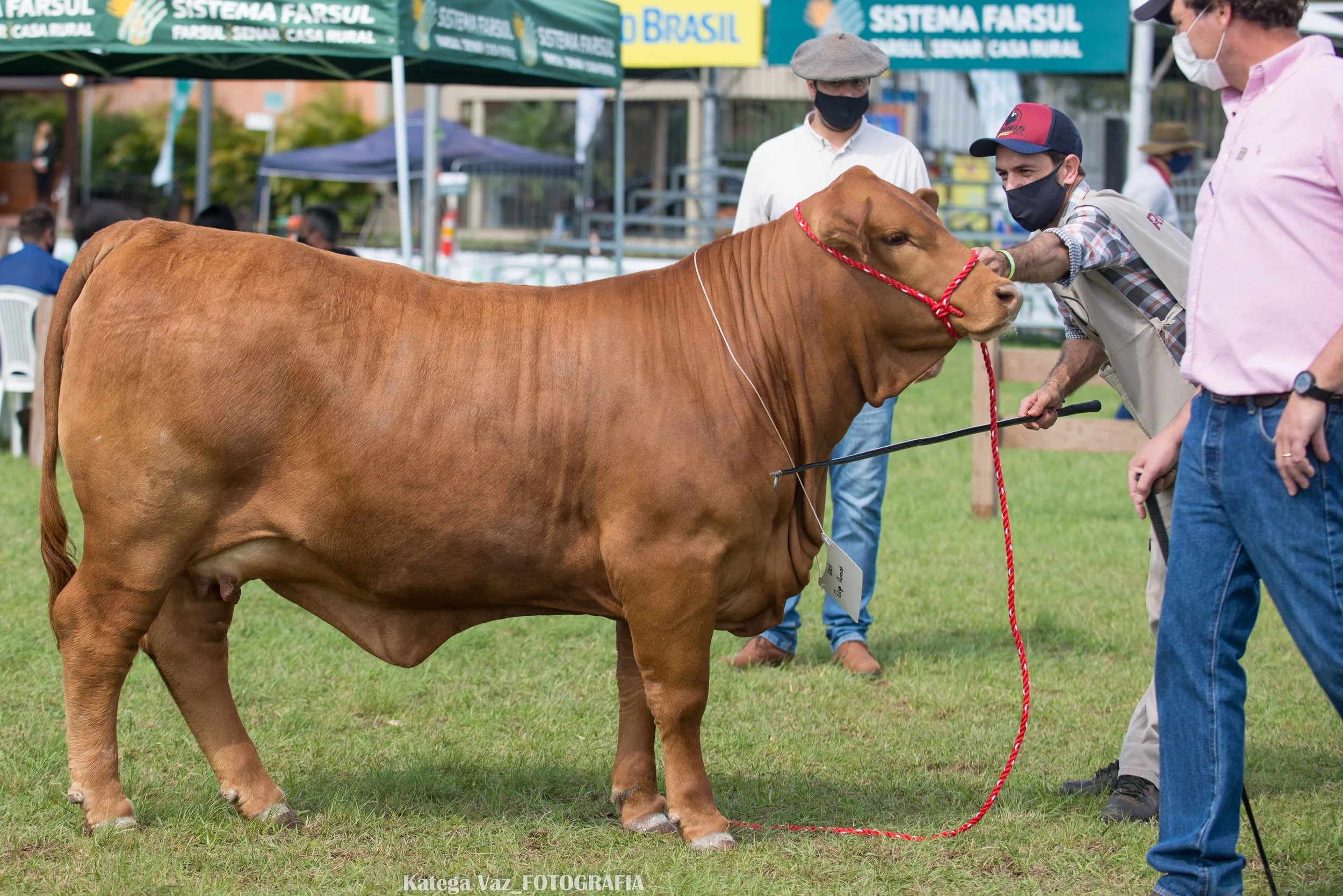 44ª Expointer