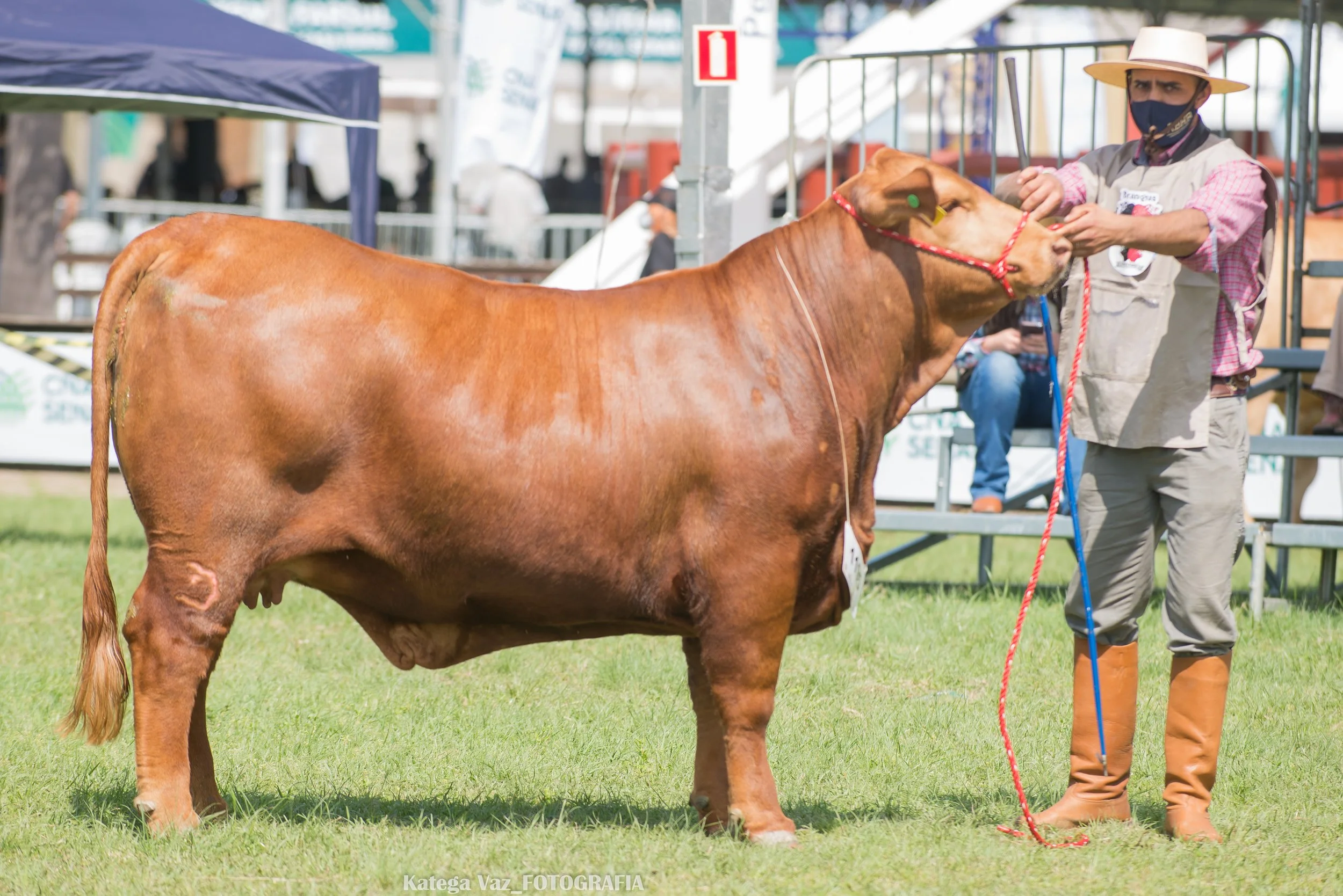 44ª Expointer