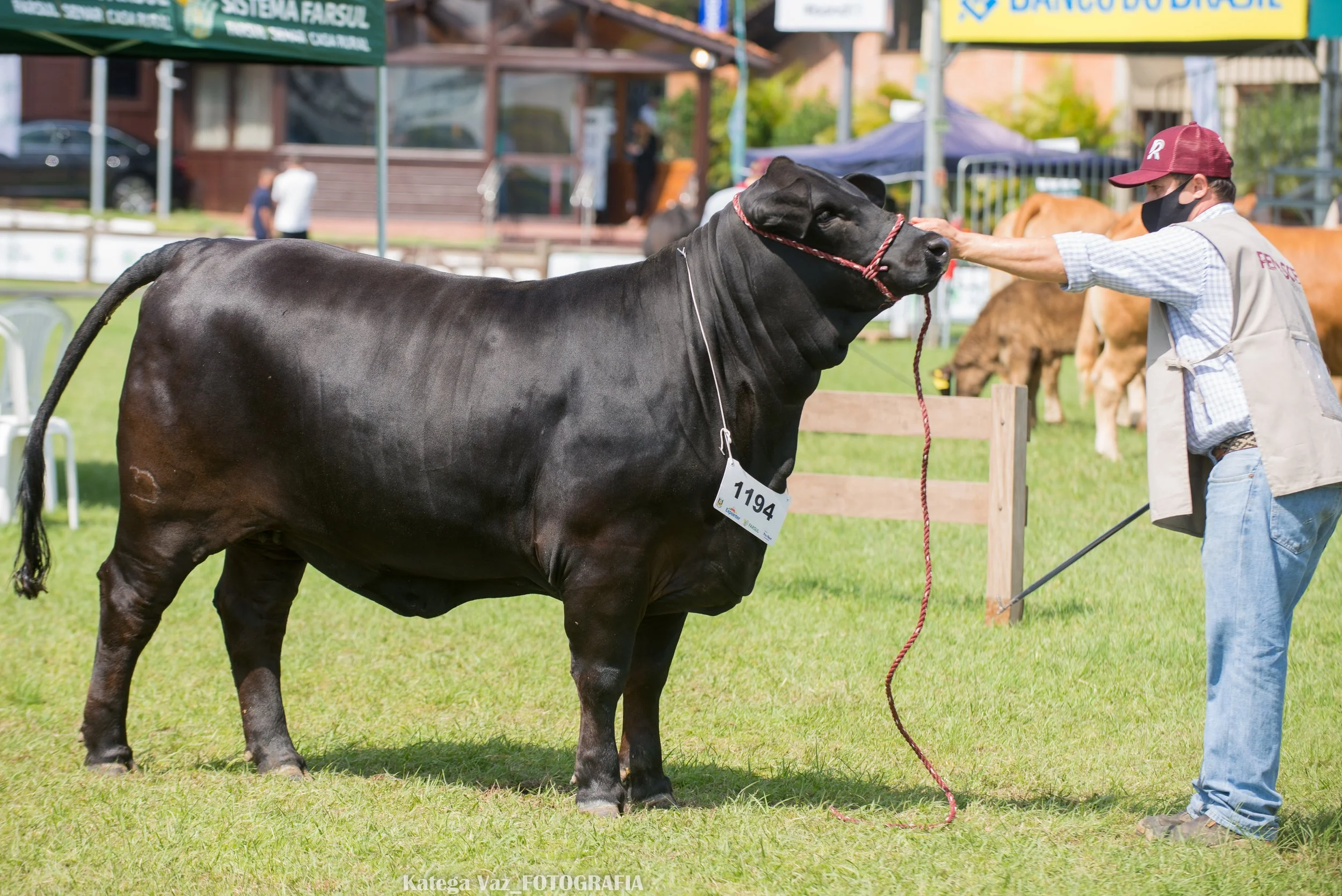 44ª Expointer