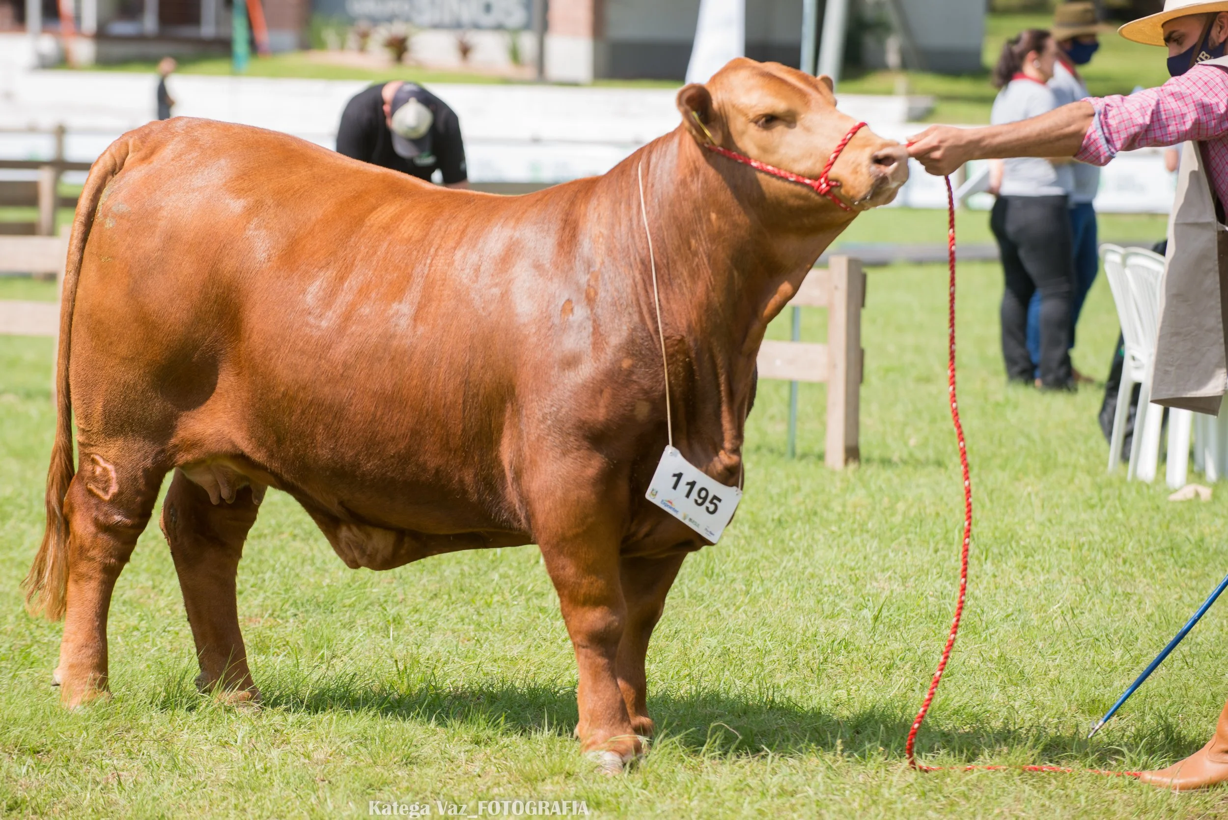 44ª Expointer