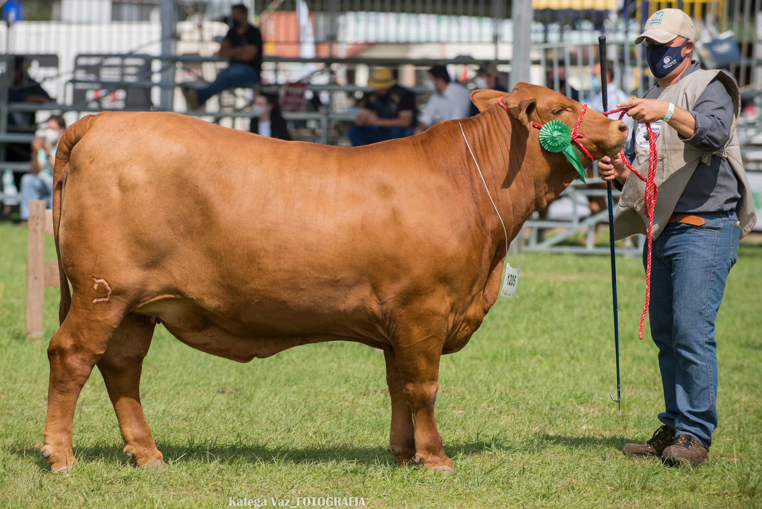 44ª Expointer