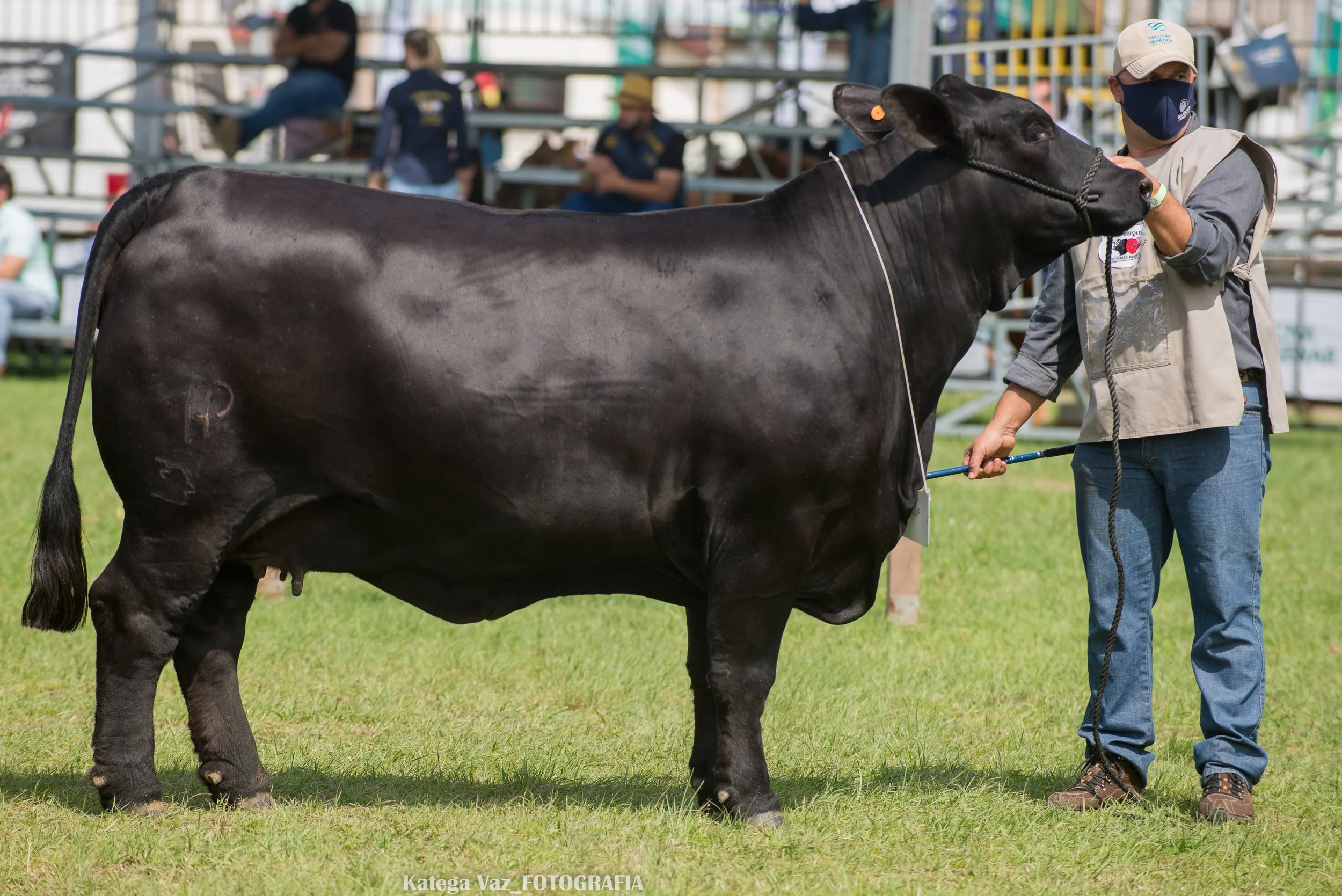 44ª Expointer