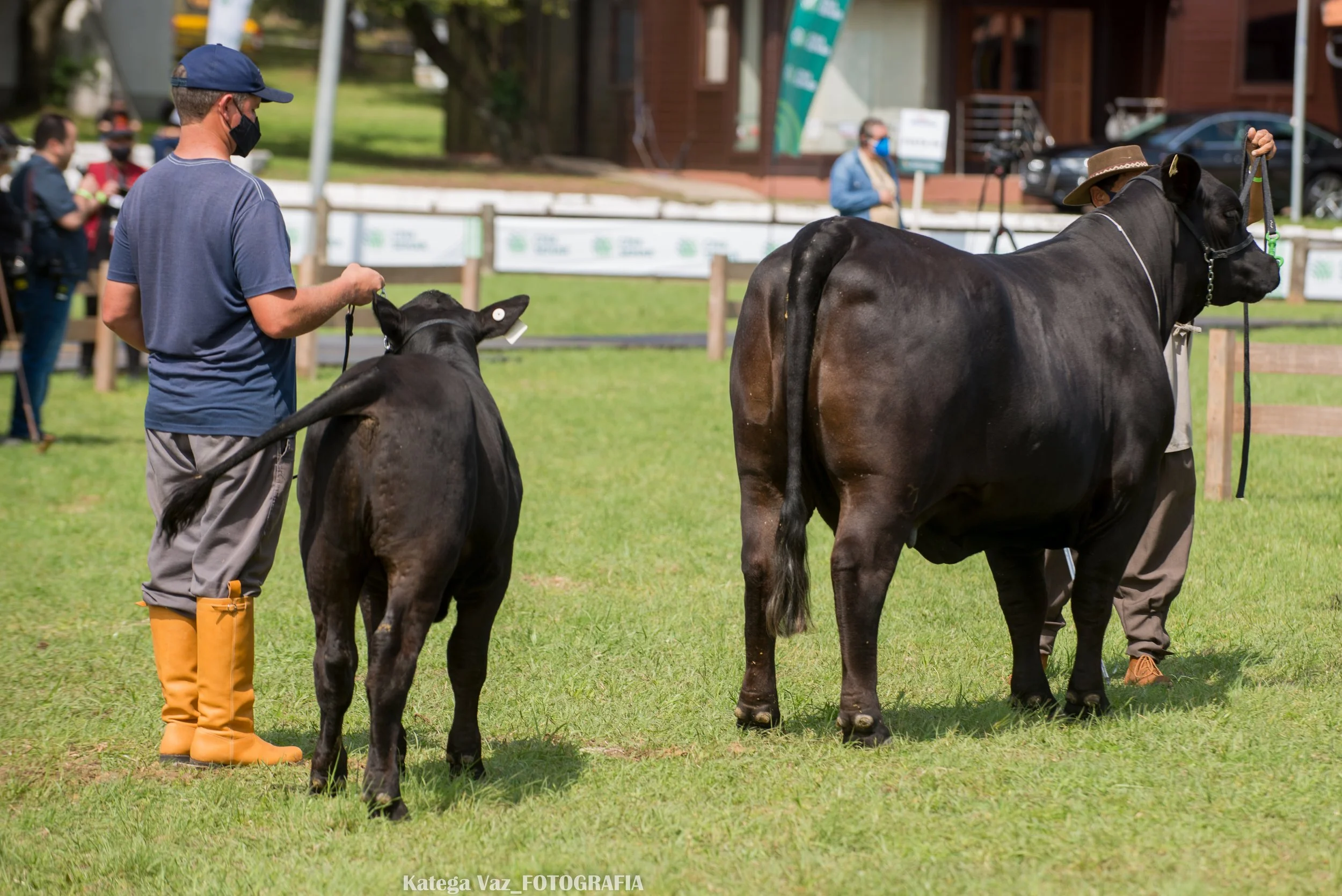 44ª Expointer