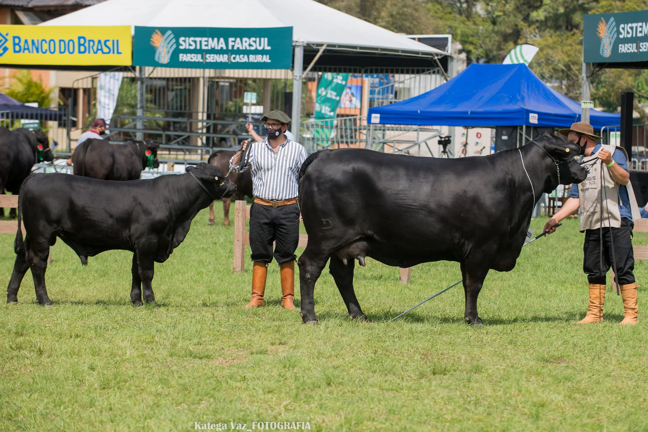 44ª Expointer
