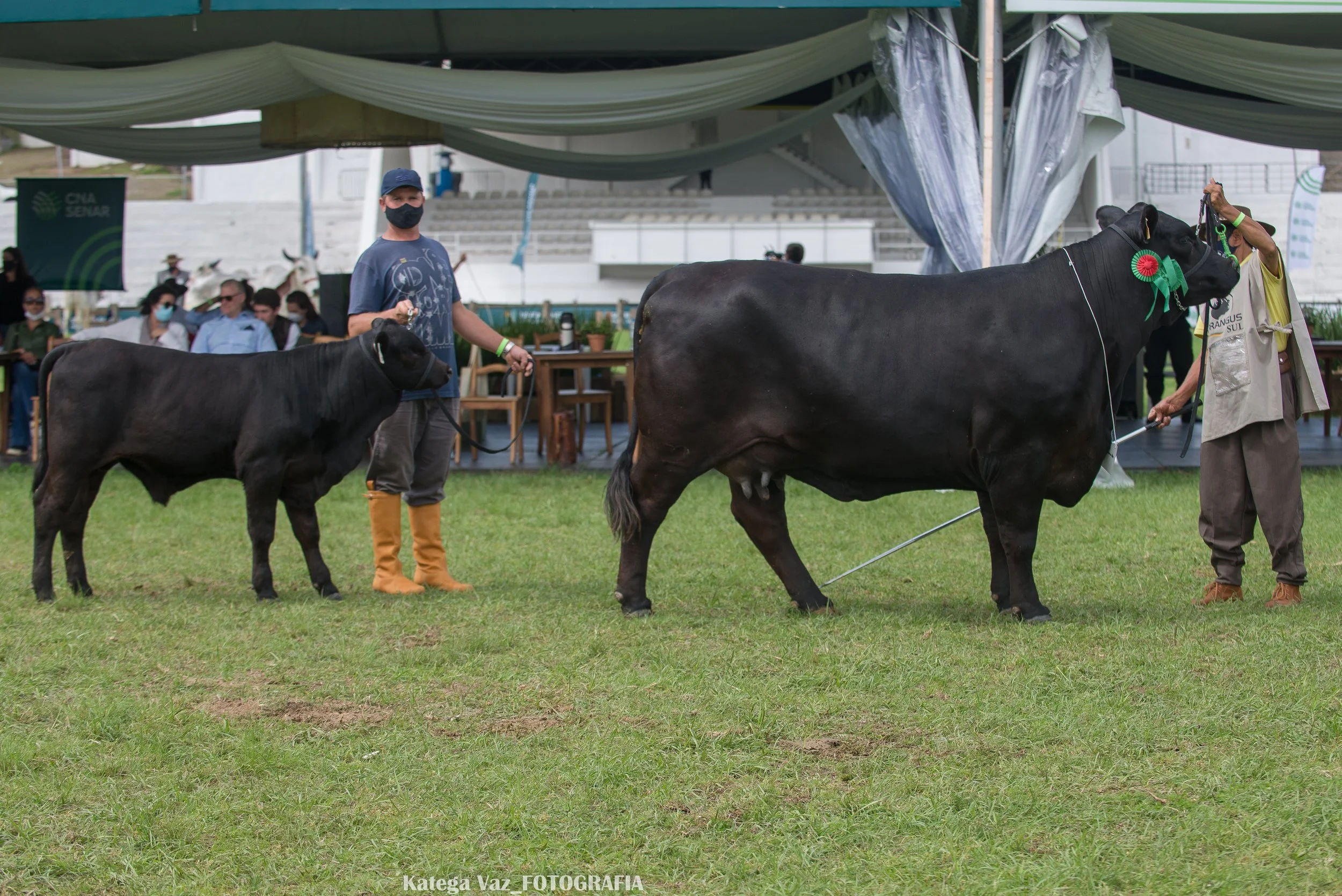 44ª Expointer