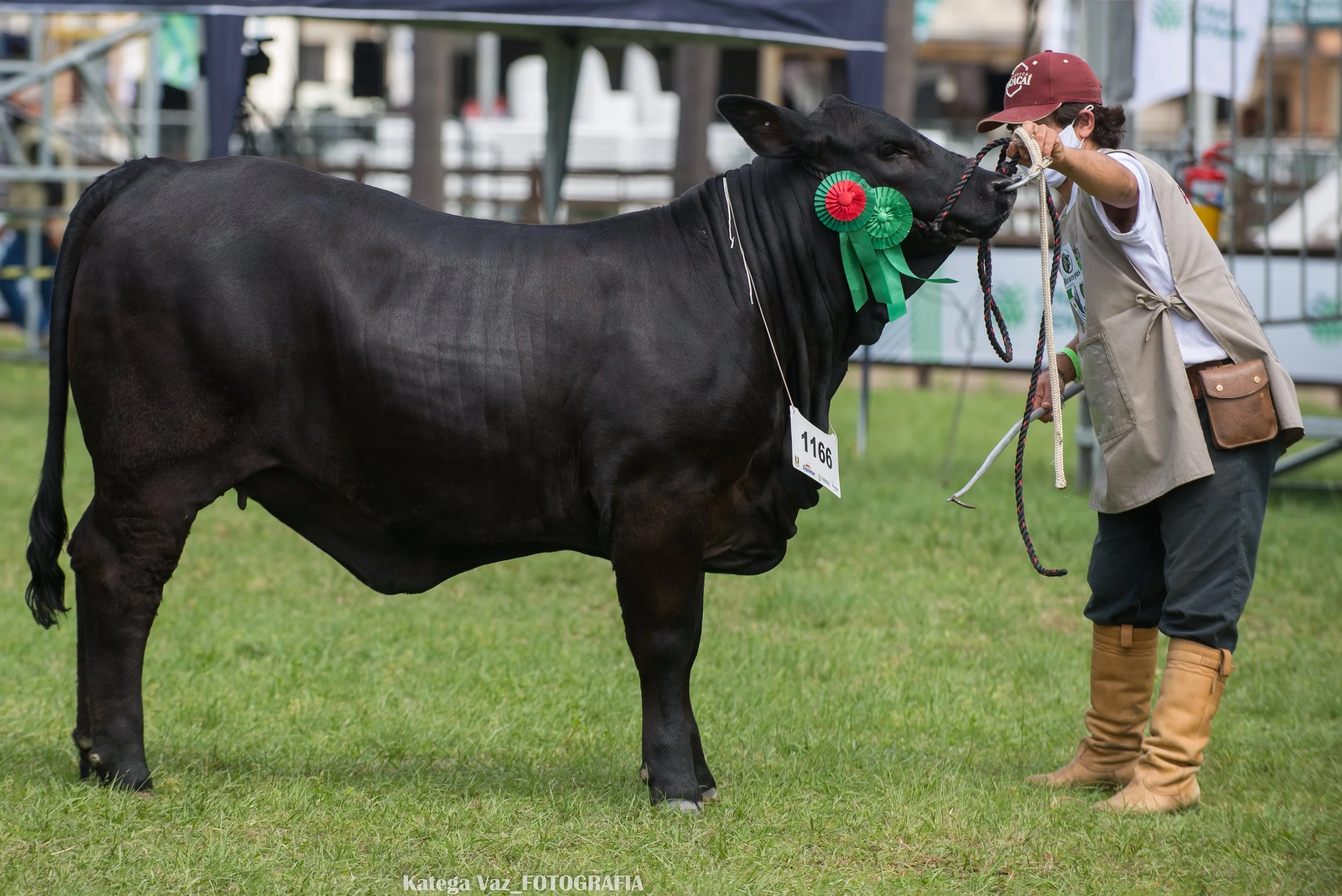 44ª Expointer