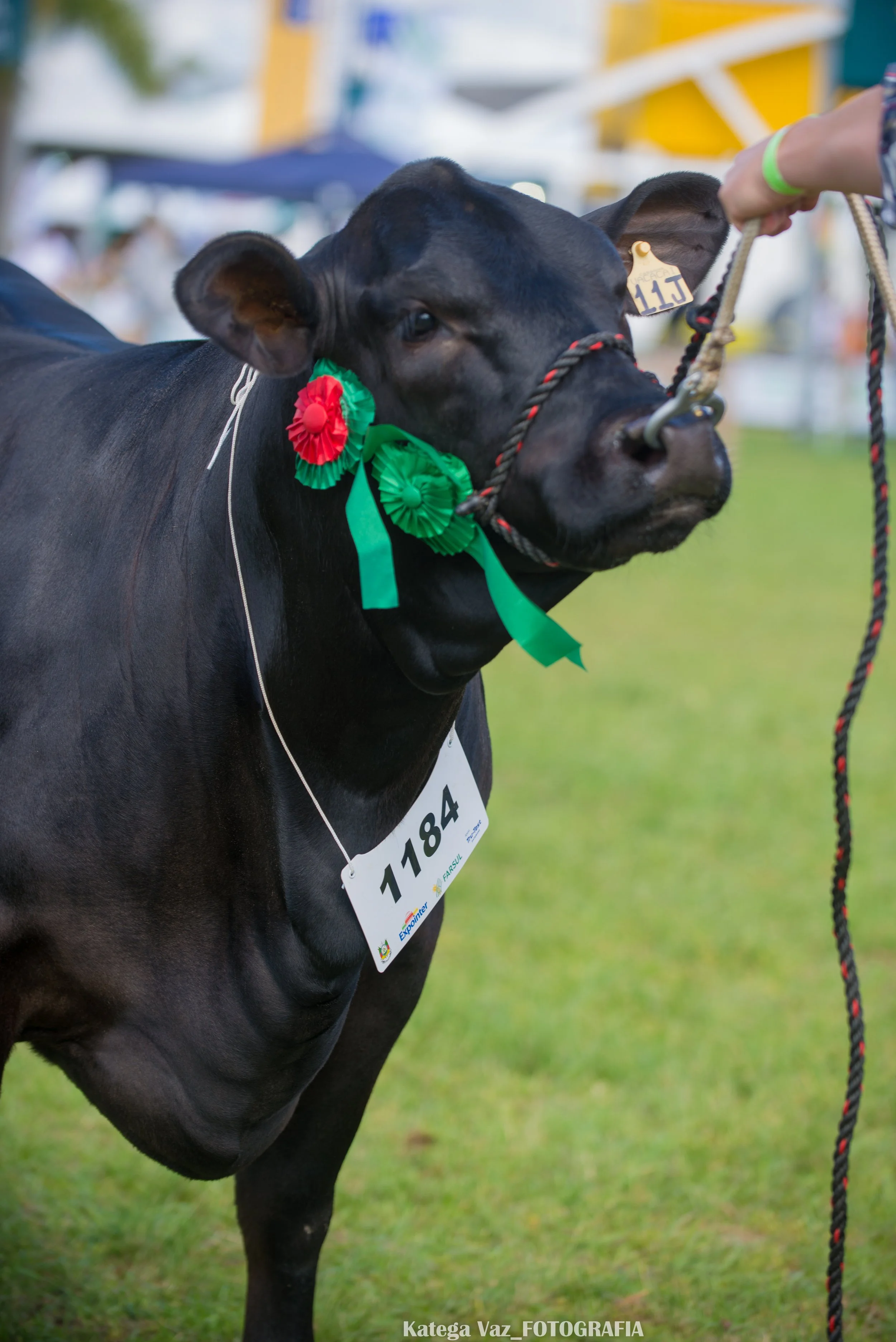 44ª Expointer