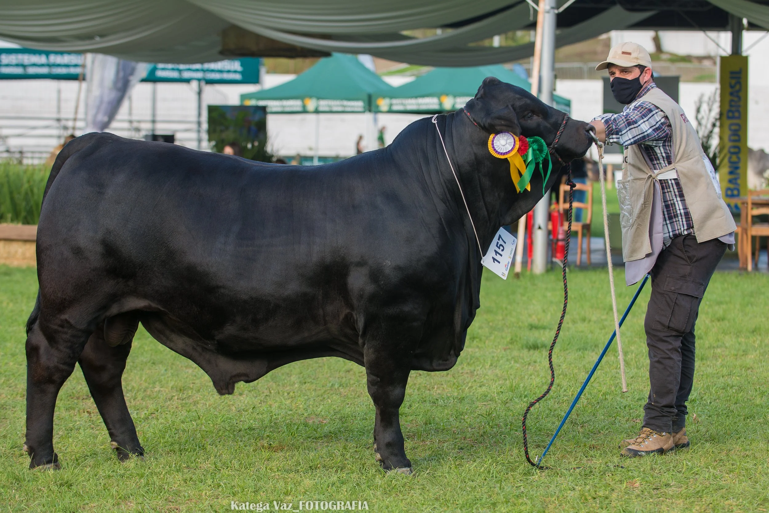 44ª Expointer