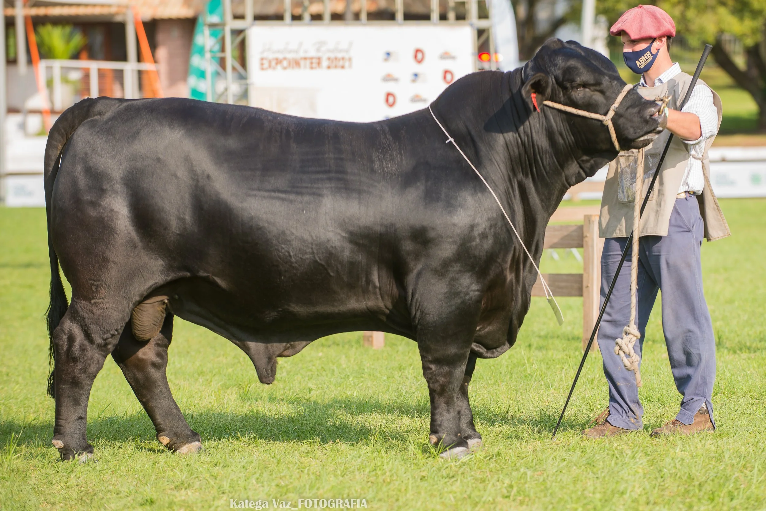 44ª Expointer