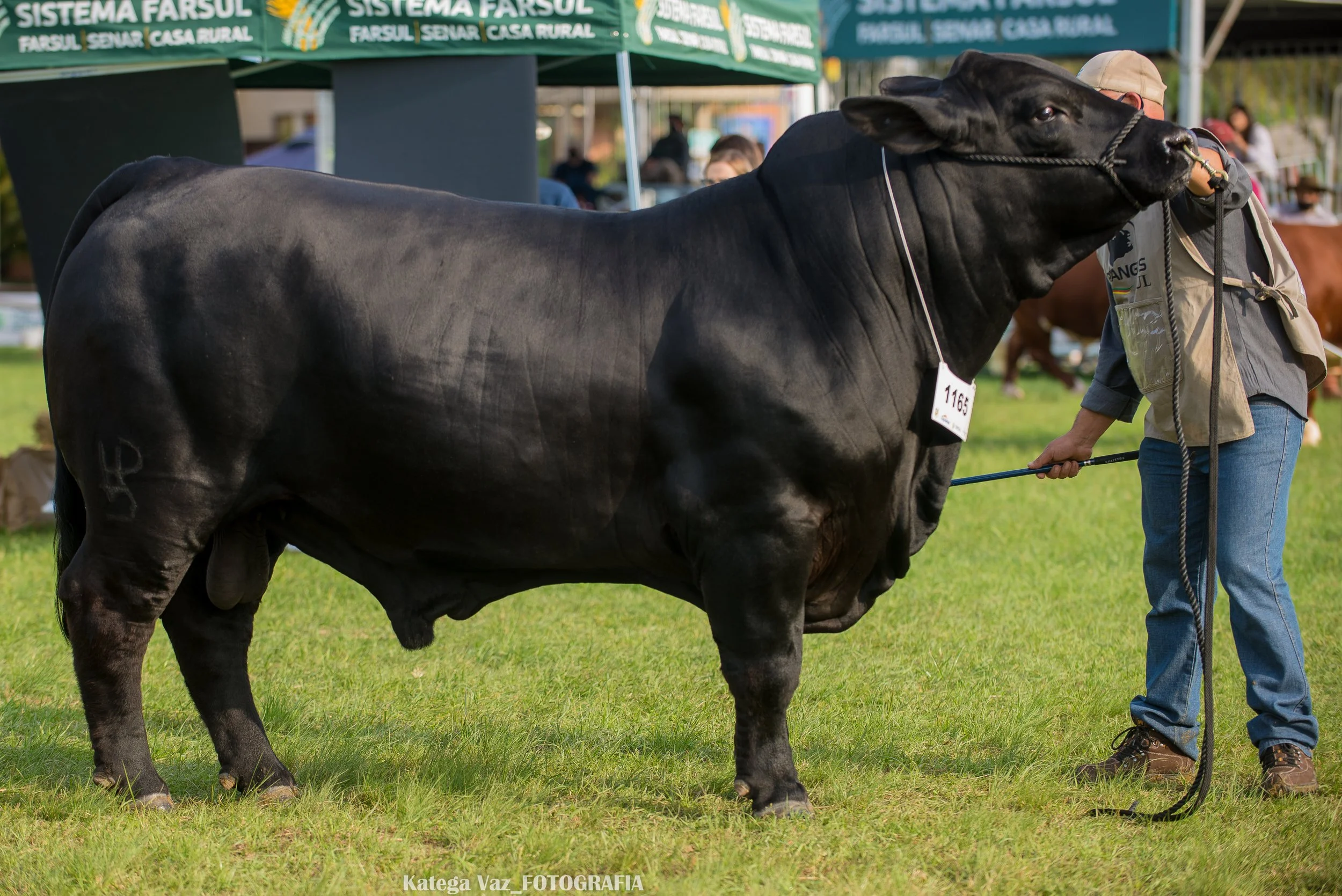 44ª Expointer