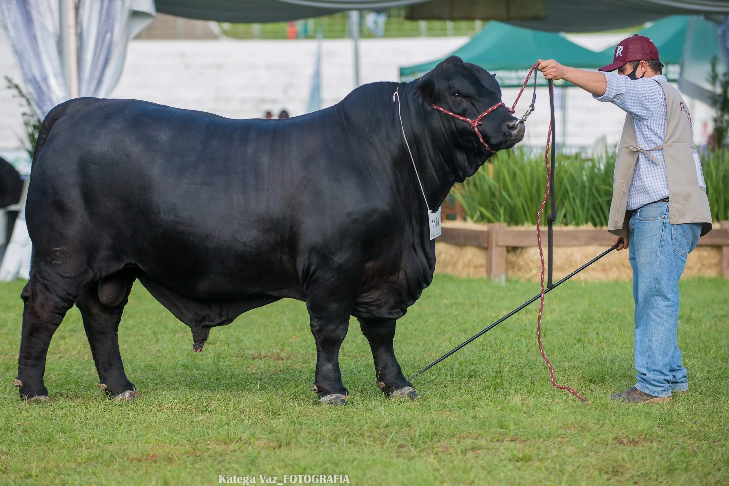 44ª Expointer