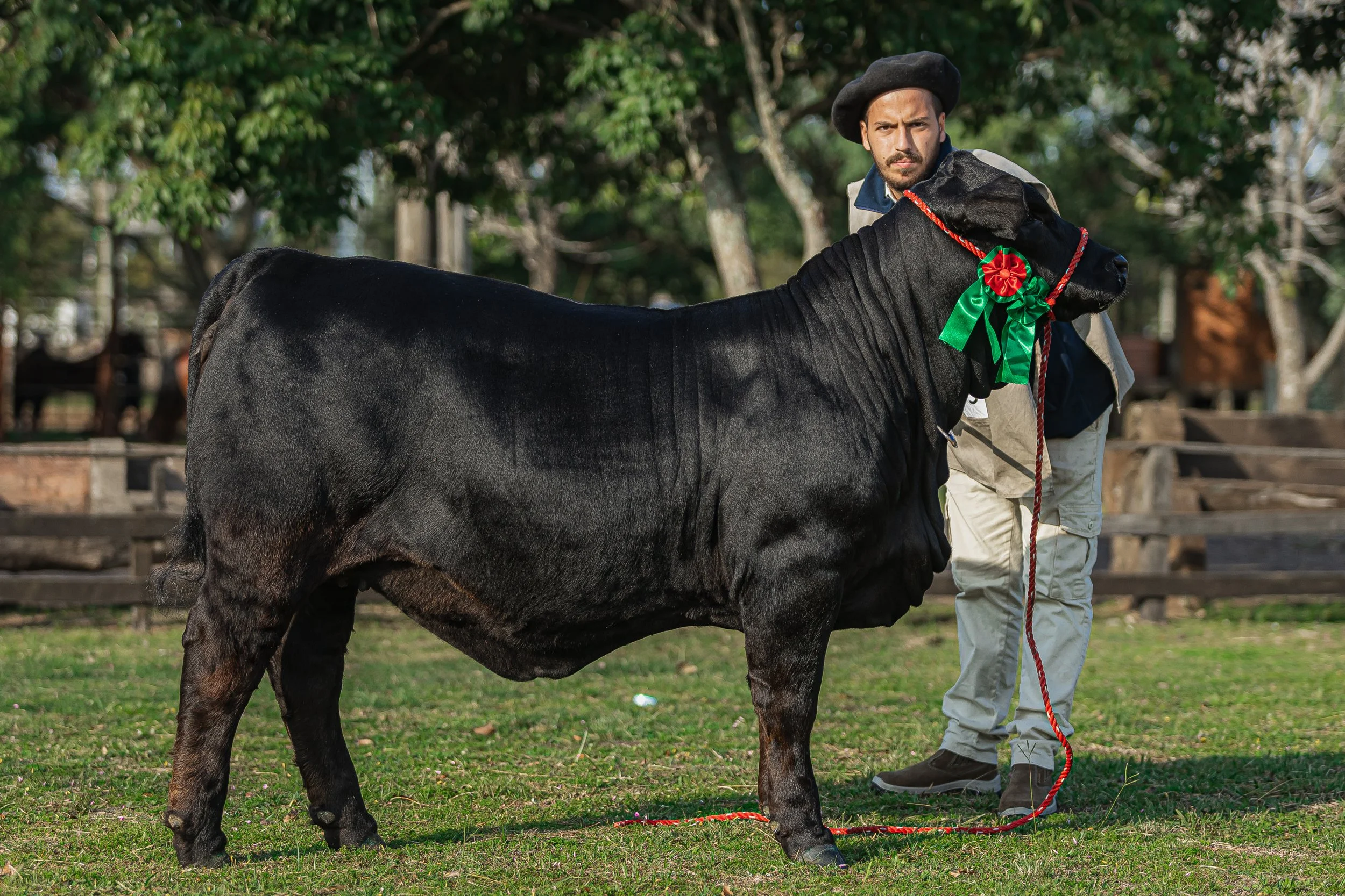 Julgamento Argola