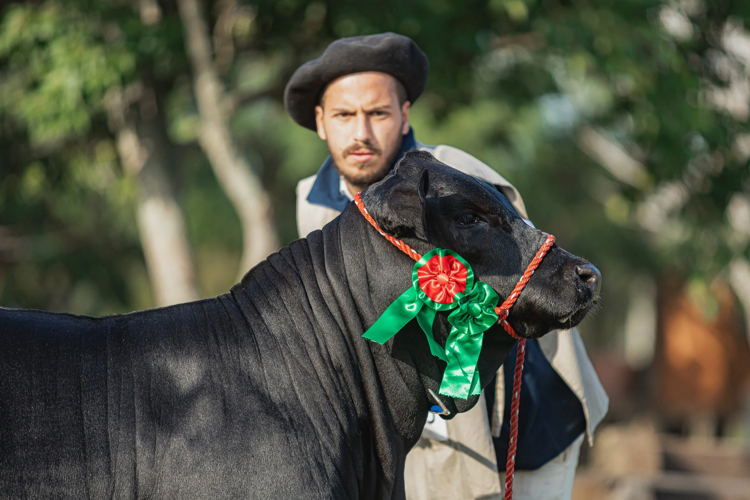 Julgamento Argola