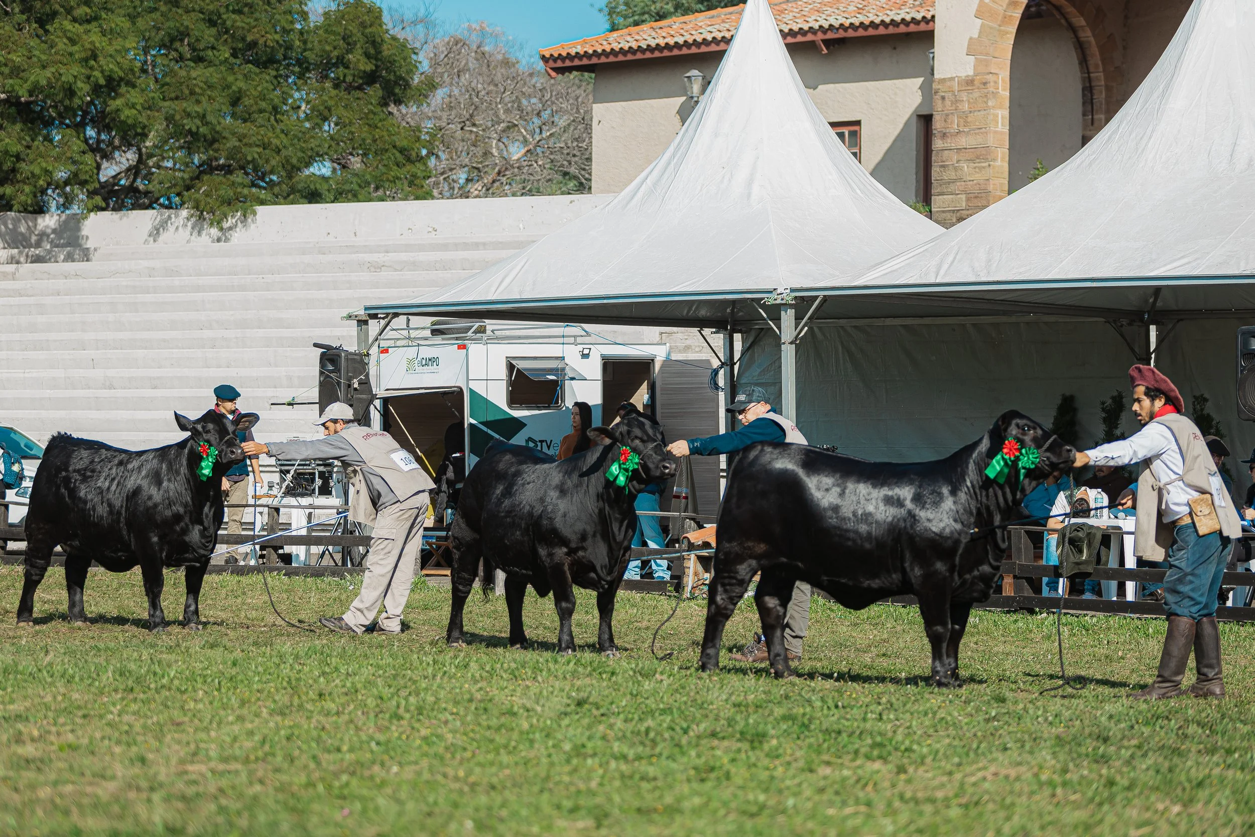 Julgamento Argola
