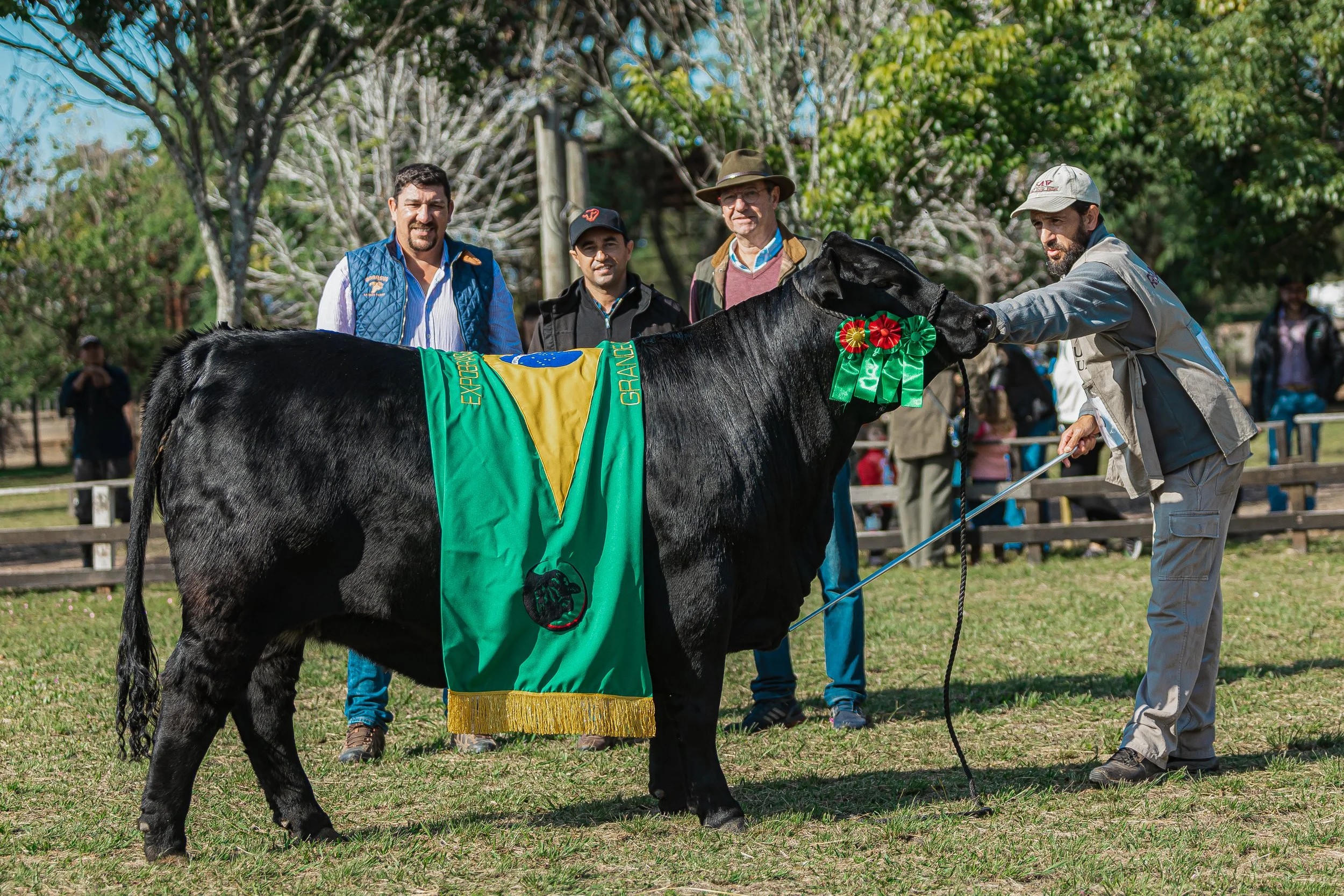 Julgamento Argola
