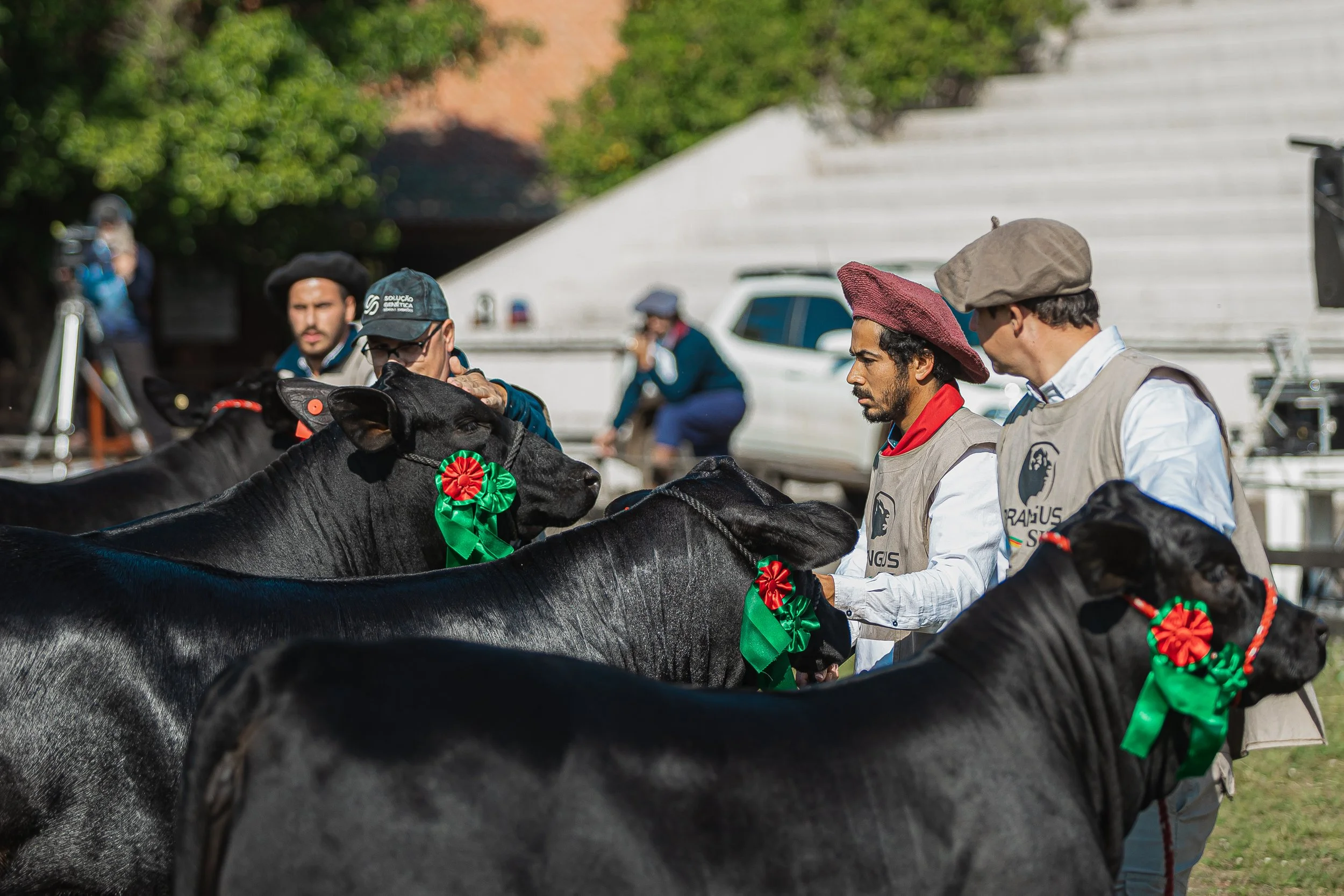 Julgamento Argola