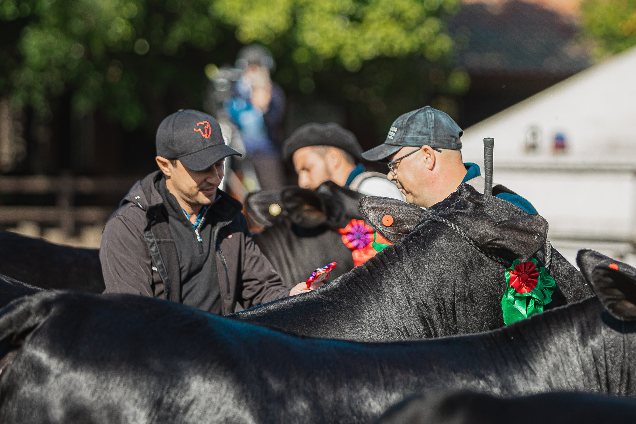 Julgamento Argola