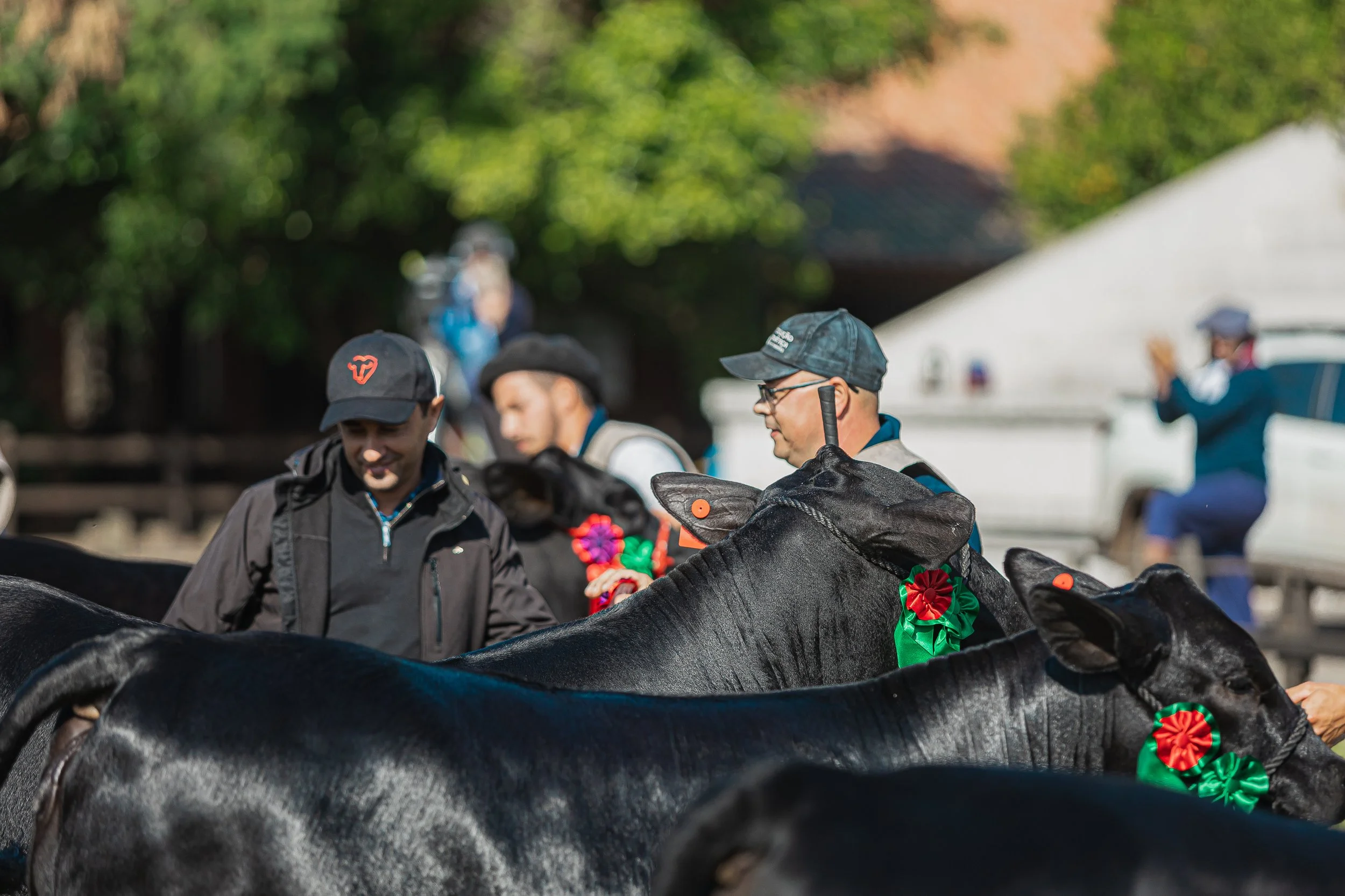 Julgamento Argola