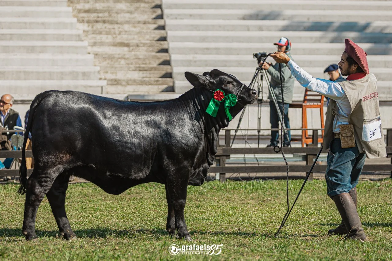 Julgamento Argola