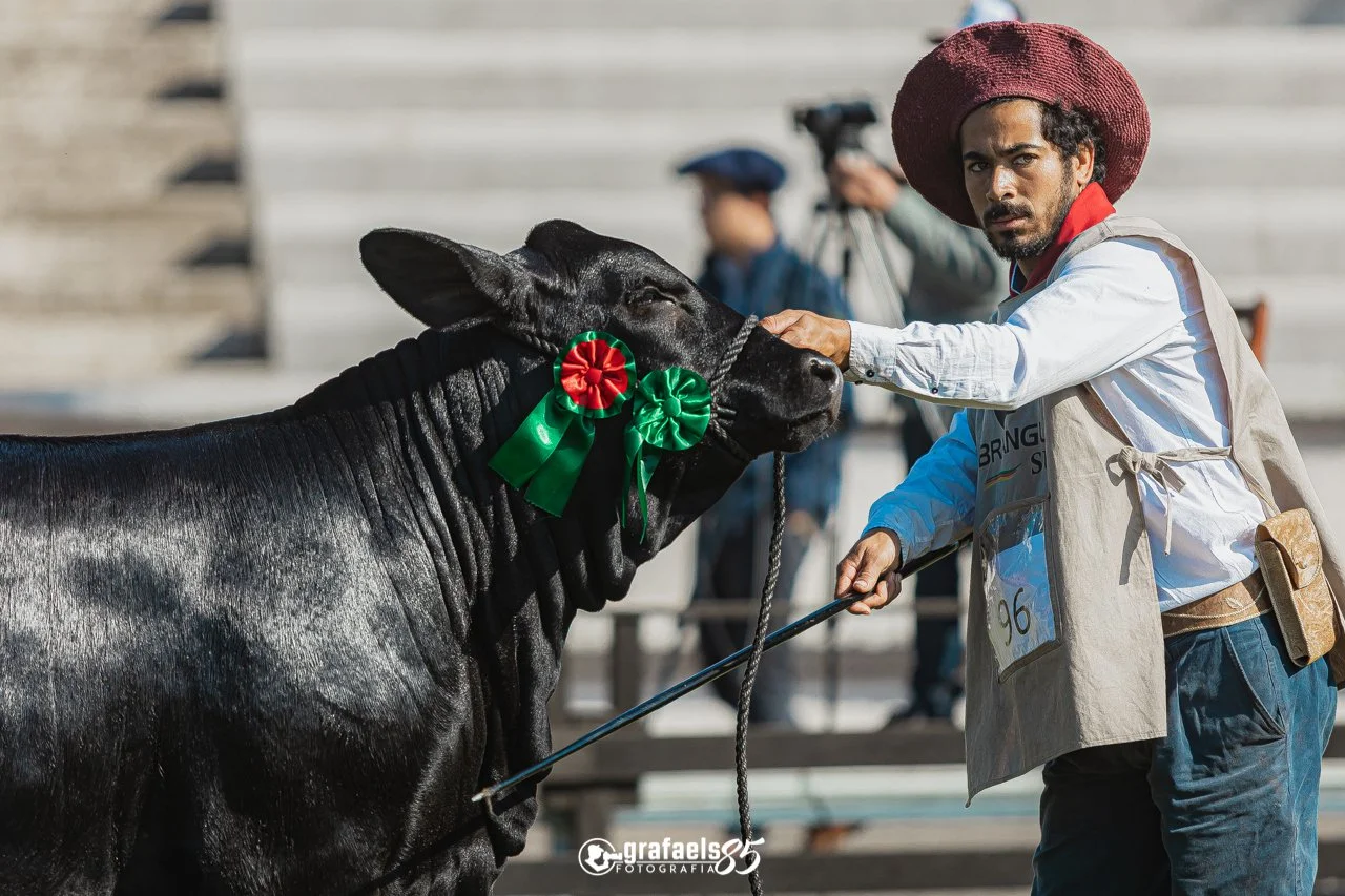 Julgamento Argola