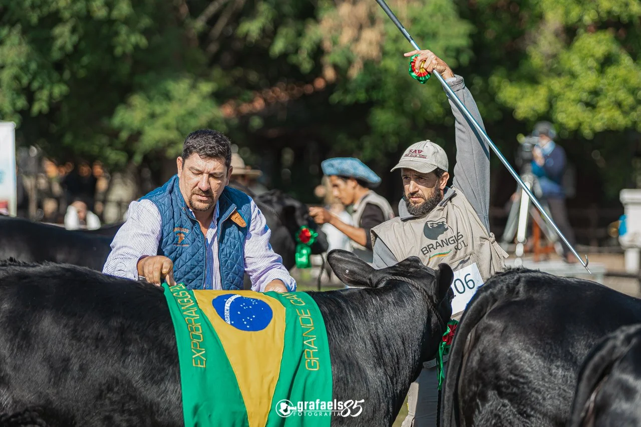 Julgamento Argola