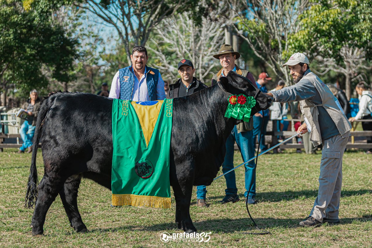 Julgamento Argola