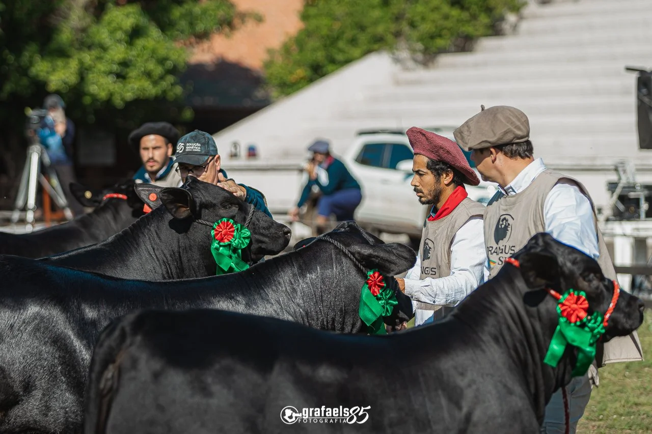 Julgamento Argola